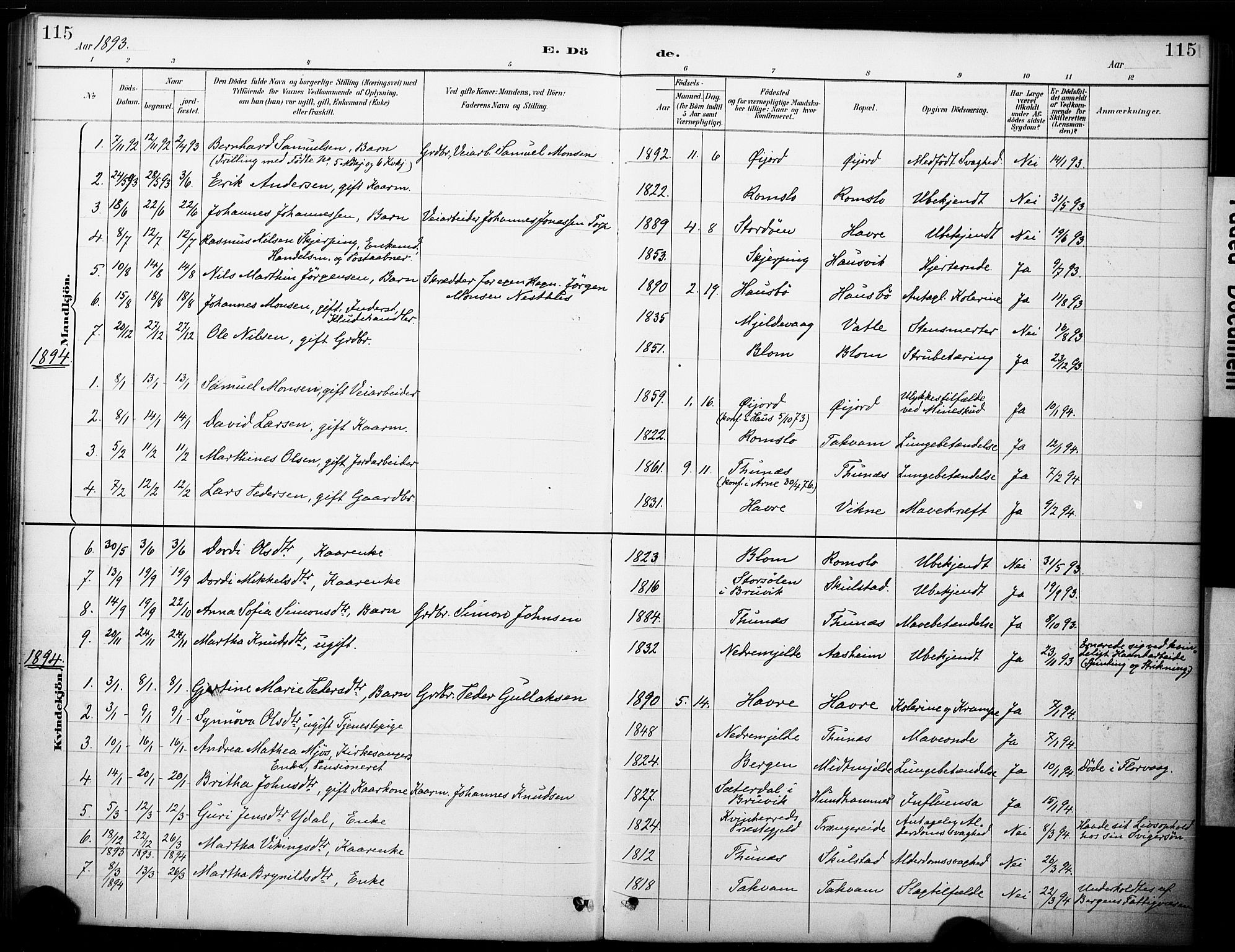 Haus sokneprestembete, AV/SAB-A-75601/H/Haa: Parish register (official) no. B 1, 1887-1898, p. 115