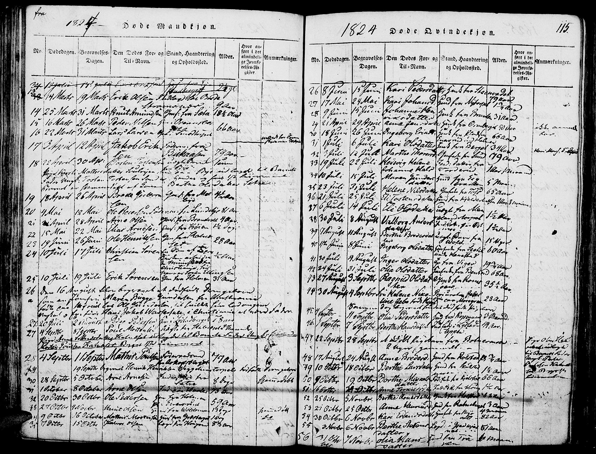 Grue prestekontor, SAH/PREST-036/H/Ha/Haa/L0006: Parish register (official) no. 6, 1814-1830, p. 115