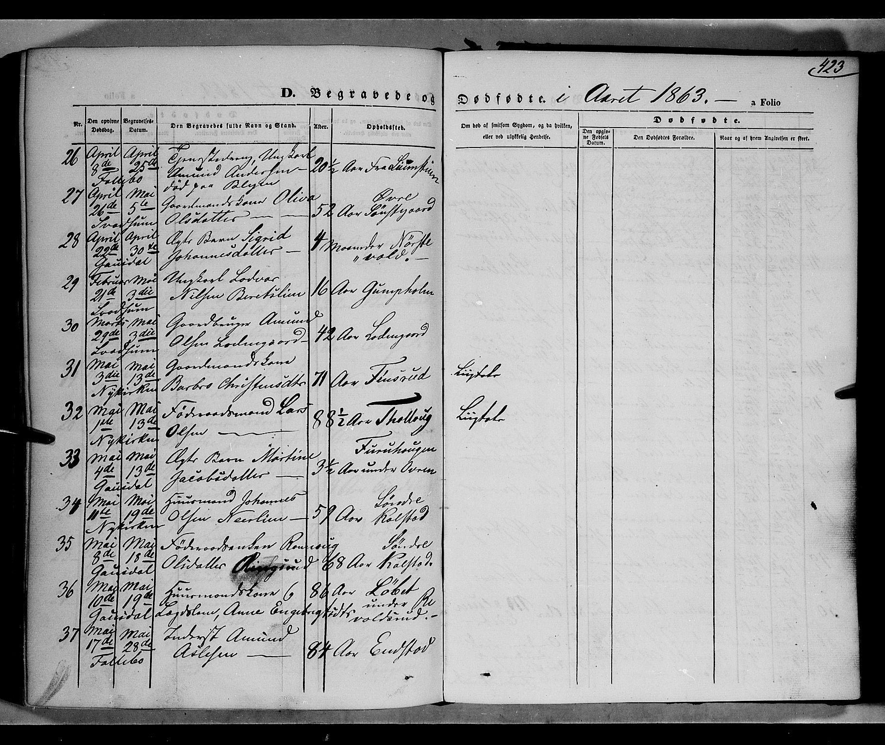Gausdal prestekontor, SAH/PREST-090/H/Ha/Haa/L0009: Parish register (official) no. 9, 1862-1873, p. 423