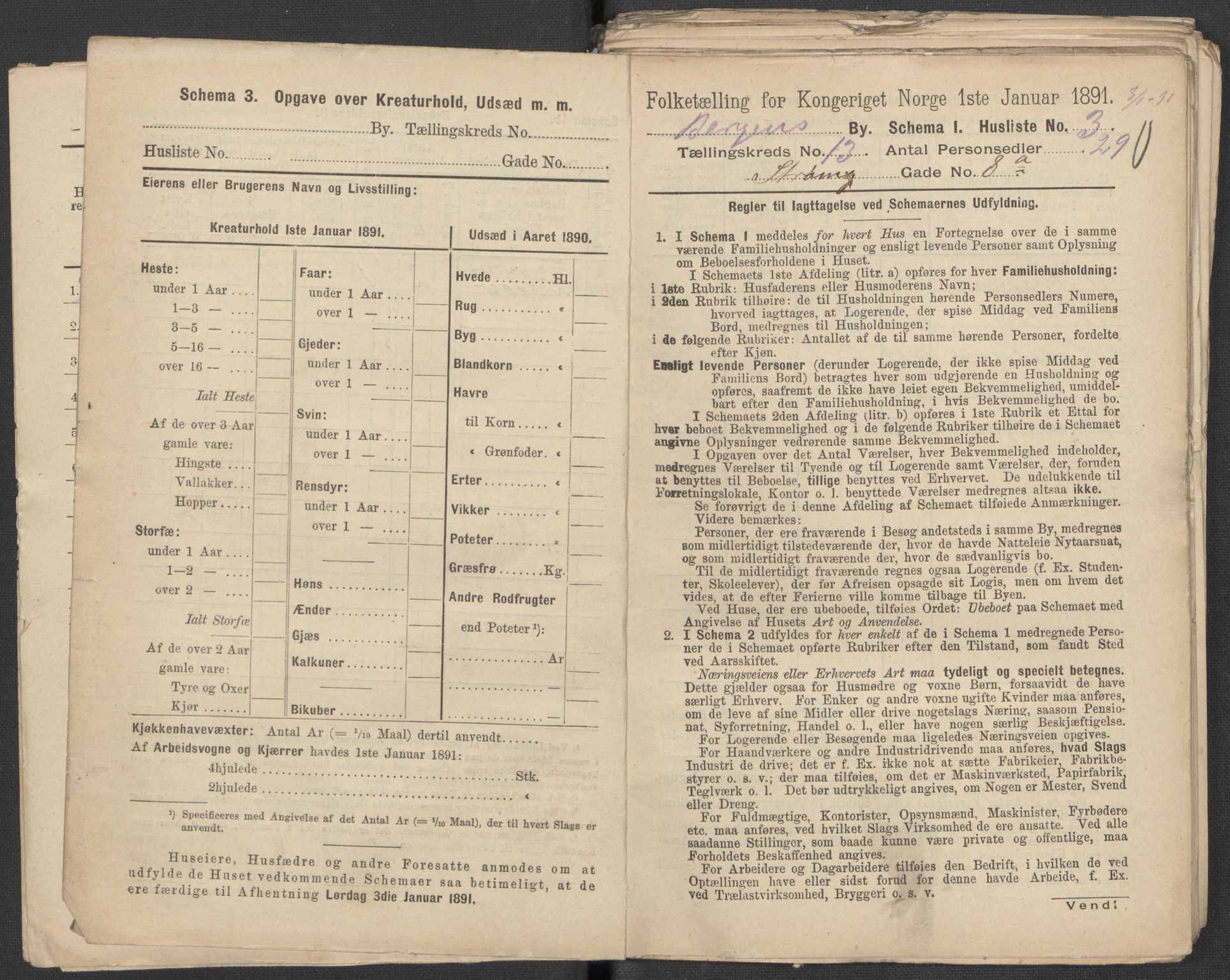 RA, 1891 Census for 1301 Bergen, 1891, p. 2005