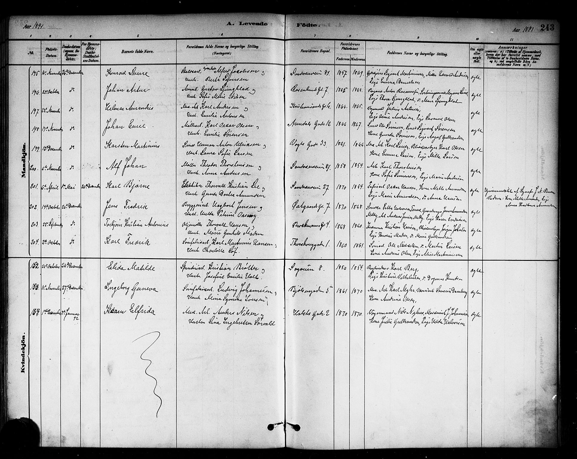 Sagene prestekontor Kirkebøker, SAO/A-10796/G/L0001: Parish register (copy) no. 1, 1880-1891, p. 243