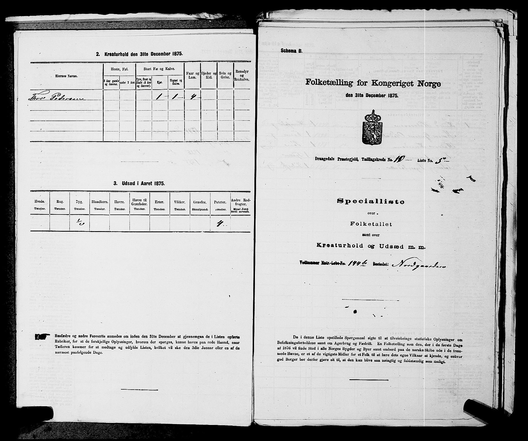 SAKO, 1875 census for 0817P Drangedal, 1875, p. 1013