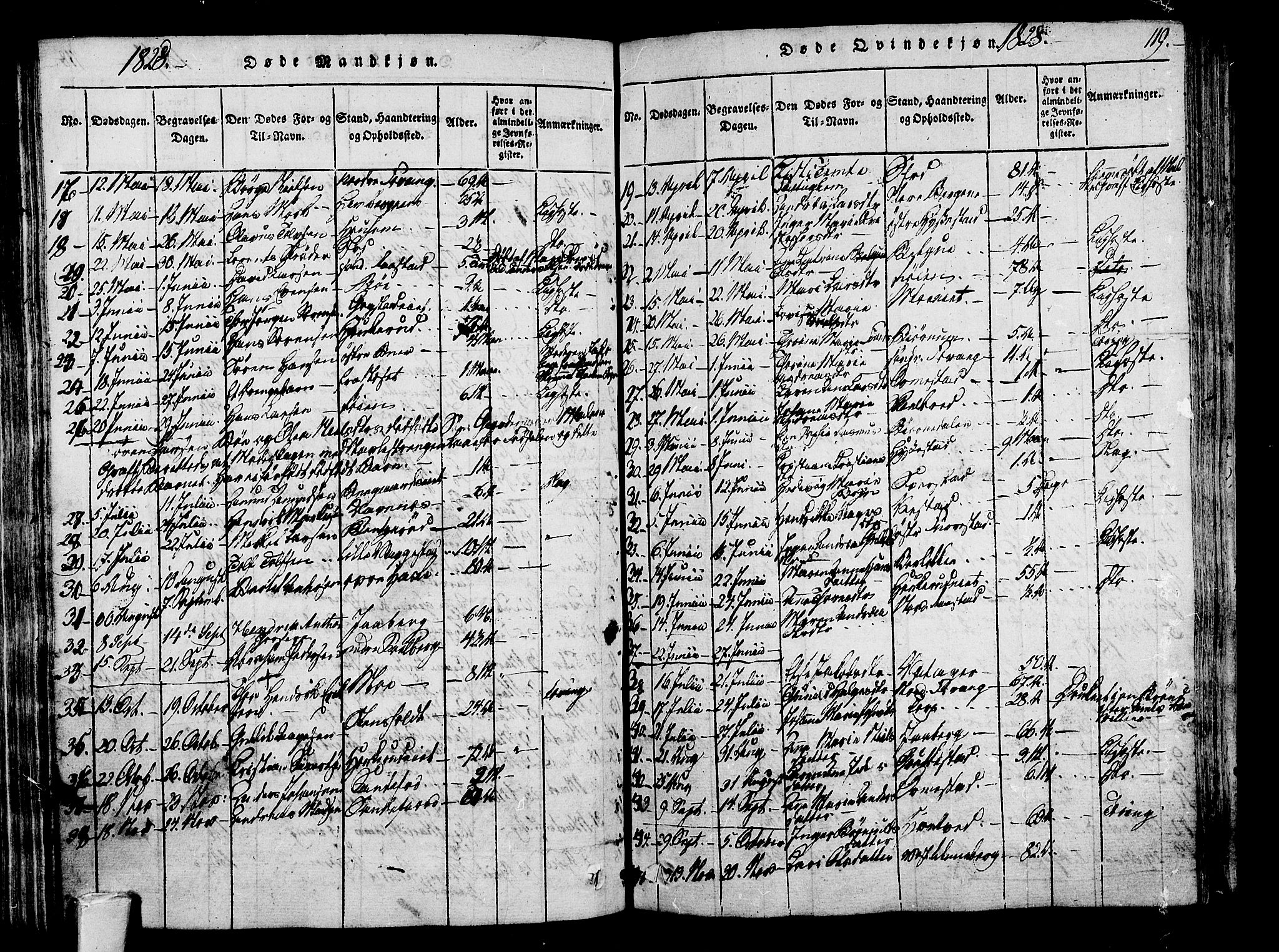 Sandar kirkebøker, AV/SAKO-A-243/F/Fa/L0004: Parish register (official) no. 4, 1814-1832, p. 119