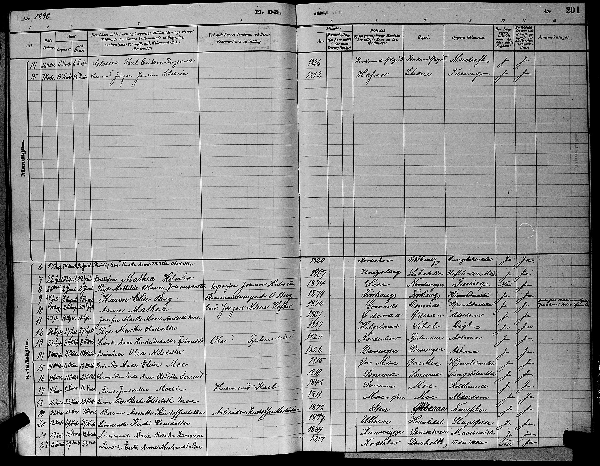 Hole kirkebøker, SAKO/A-228/G/Ga/L0003: Parish register (copy) no. I 3, 1879-1904, p. 201