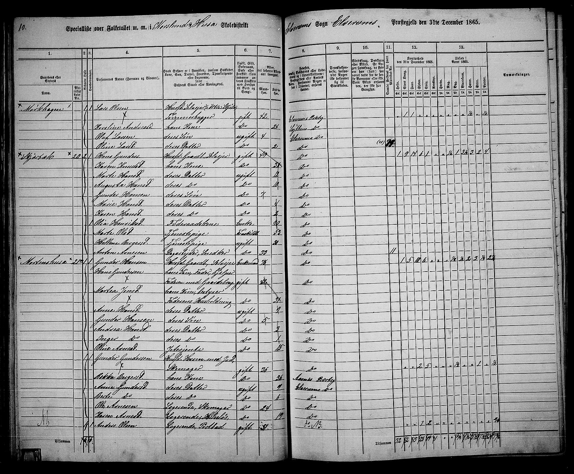 RA, 1865 census for Elverum, 1865, p. 47