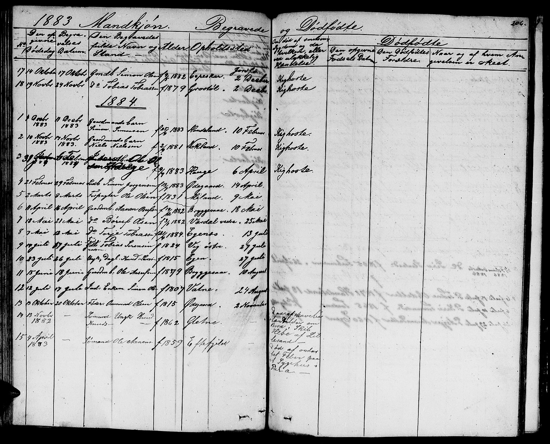 Hægebostad sokneprestkontor, AV/SAK-1111-0024/F/Fb/Fbb/L0002: Parish register (copy) no. B 2, 1851-1886, p. 206