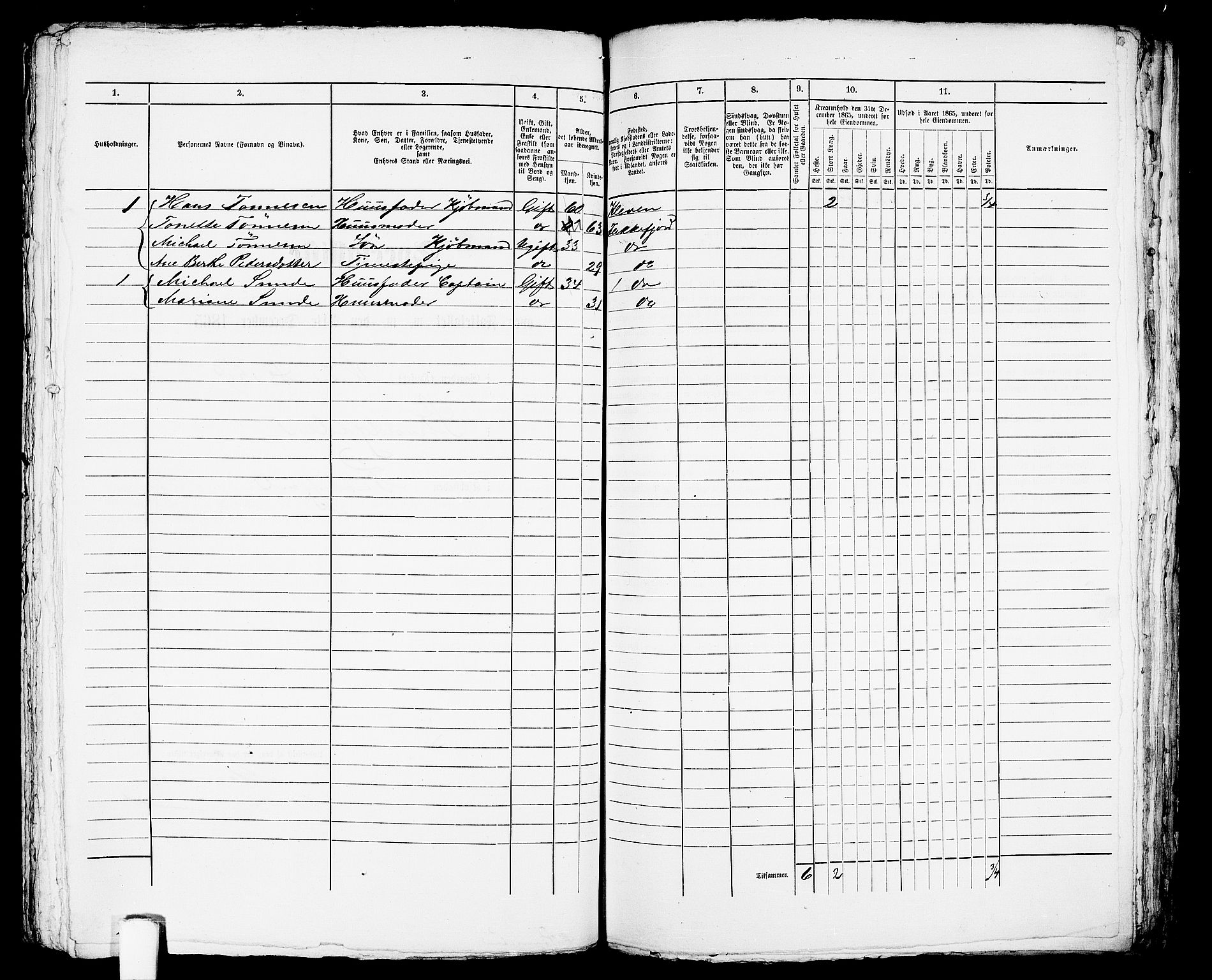 RA, 1865 census for Flekkefjord/Flekkefjord, 1865, p. 371