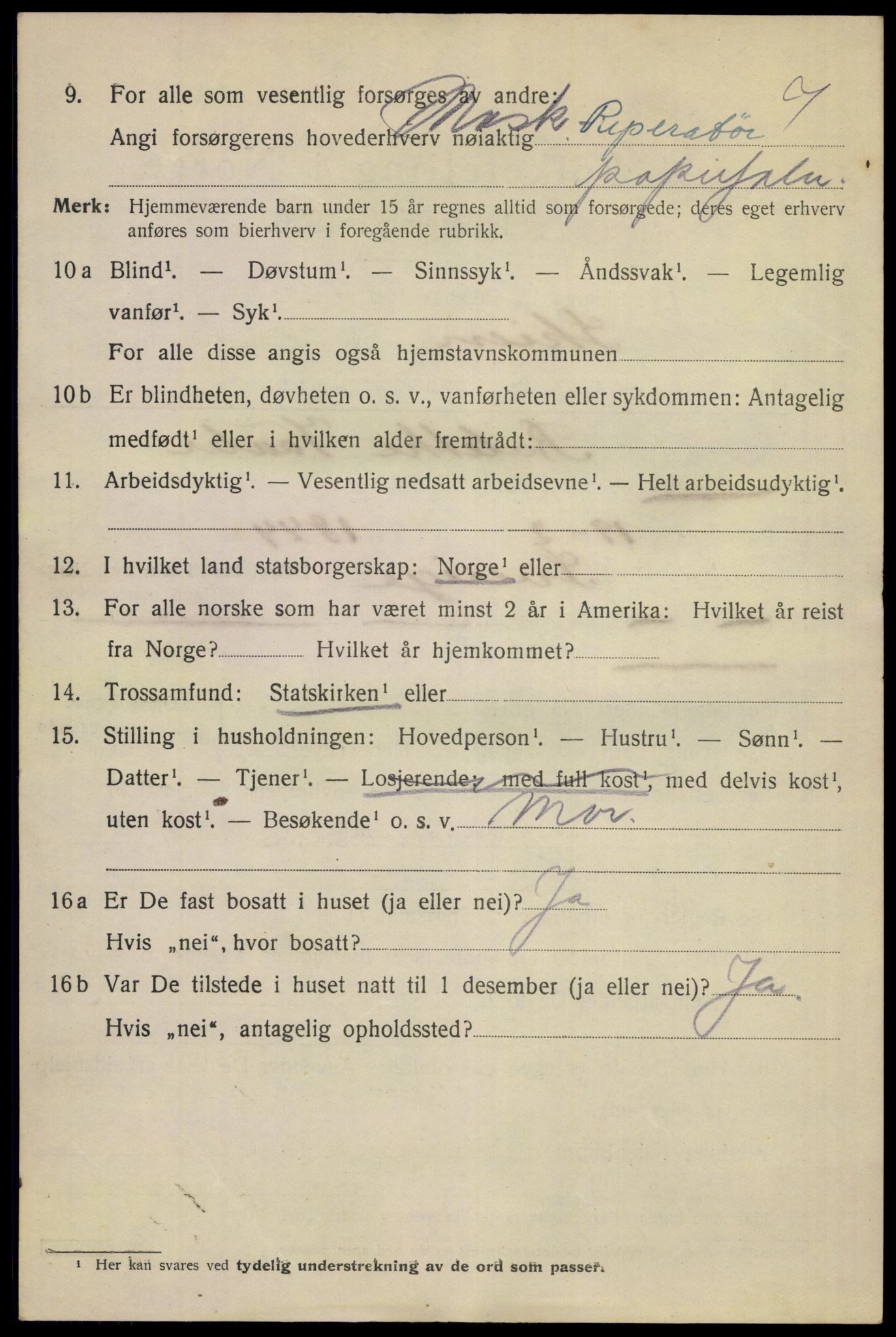 SAKO, 1920 census for Skien, 1920, p. 45713