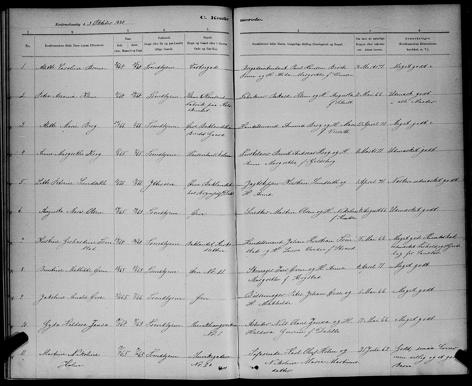 Ministerialprotokoller, klokkerbøker og fødselsregistre - Sør-Trøndelag, AV/SAT-A-1456/601/L0091: Parish register (copy) no. 601C09, 1878-1883