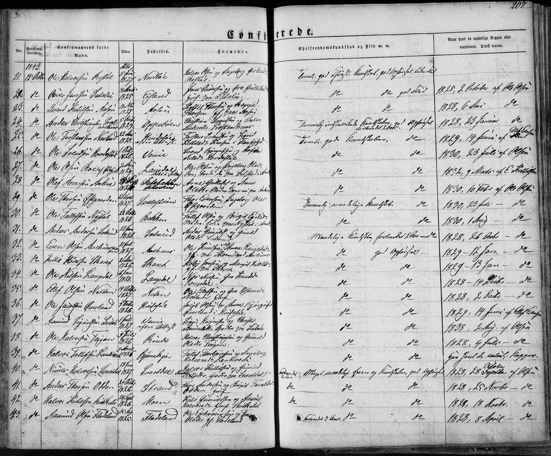 Seljord kirkebøker, AV/SAKO-A-20/F/Fa/L0011: Parish register (official) no. I 11, 1831-1849, p. 207