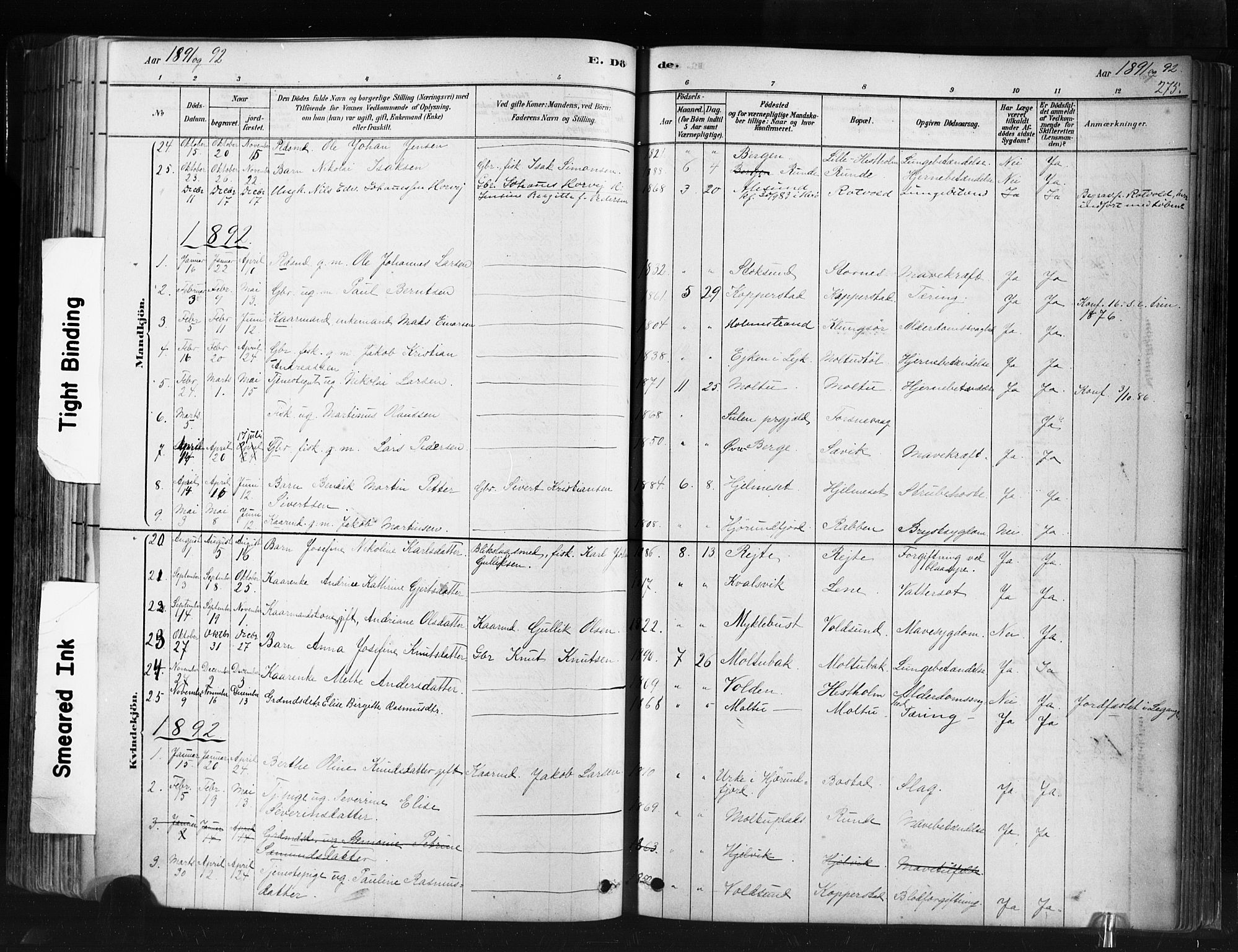 Ministerialprotokoller, klokkerbøker og fødselsregistre - Møre og Romsdal, AV/SAT-A-1454/507/L0073: Parish register (official) no. 507A08, 1878-1904, p. 275