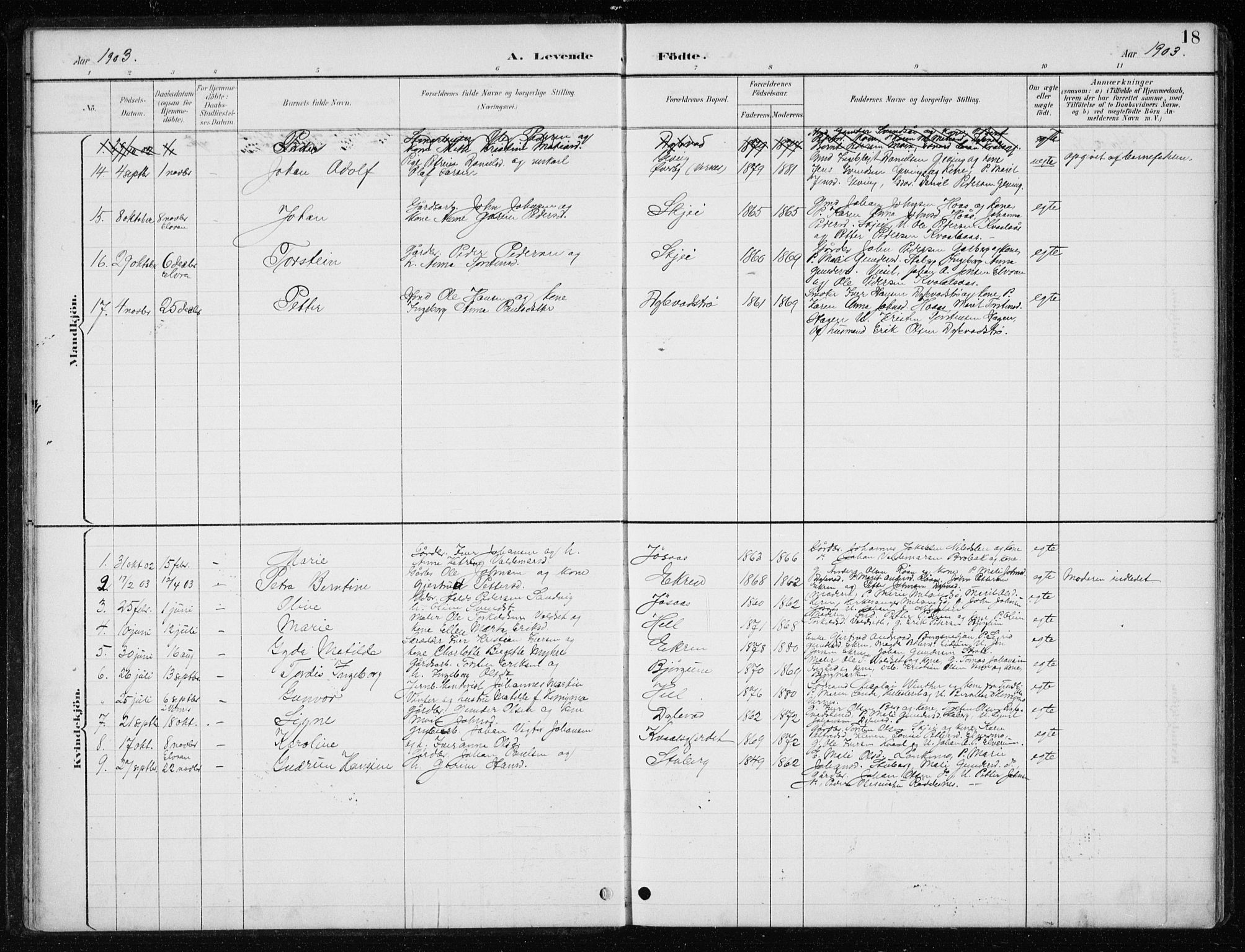 Ministerialprotokoller, klokkerbøker og fødselsregistre - Nord-Trøndelag, SAT/A-1458/710/L0096: Parish register (copy) no. 710C01, 1892-1925, p. 18