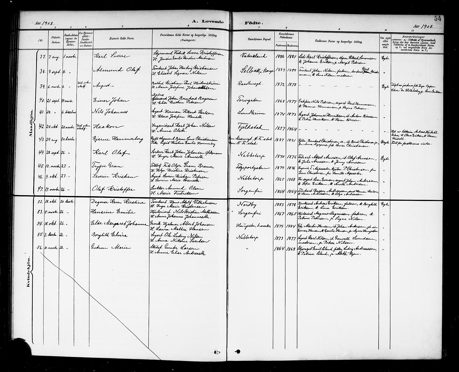 Østre Fredrikstad prestekontor Kirkebøker, AV/SAO-A-10907/G/Ga/L0002: Parish register (copy) no. 2, 1900-1919, p. 54