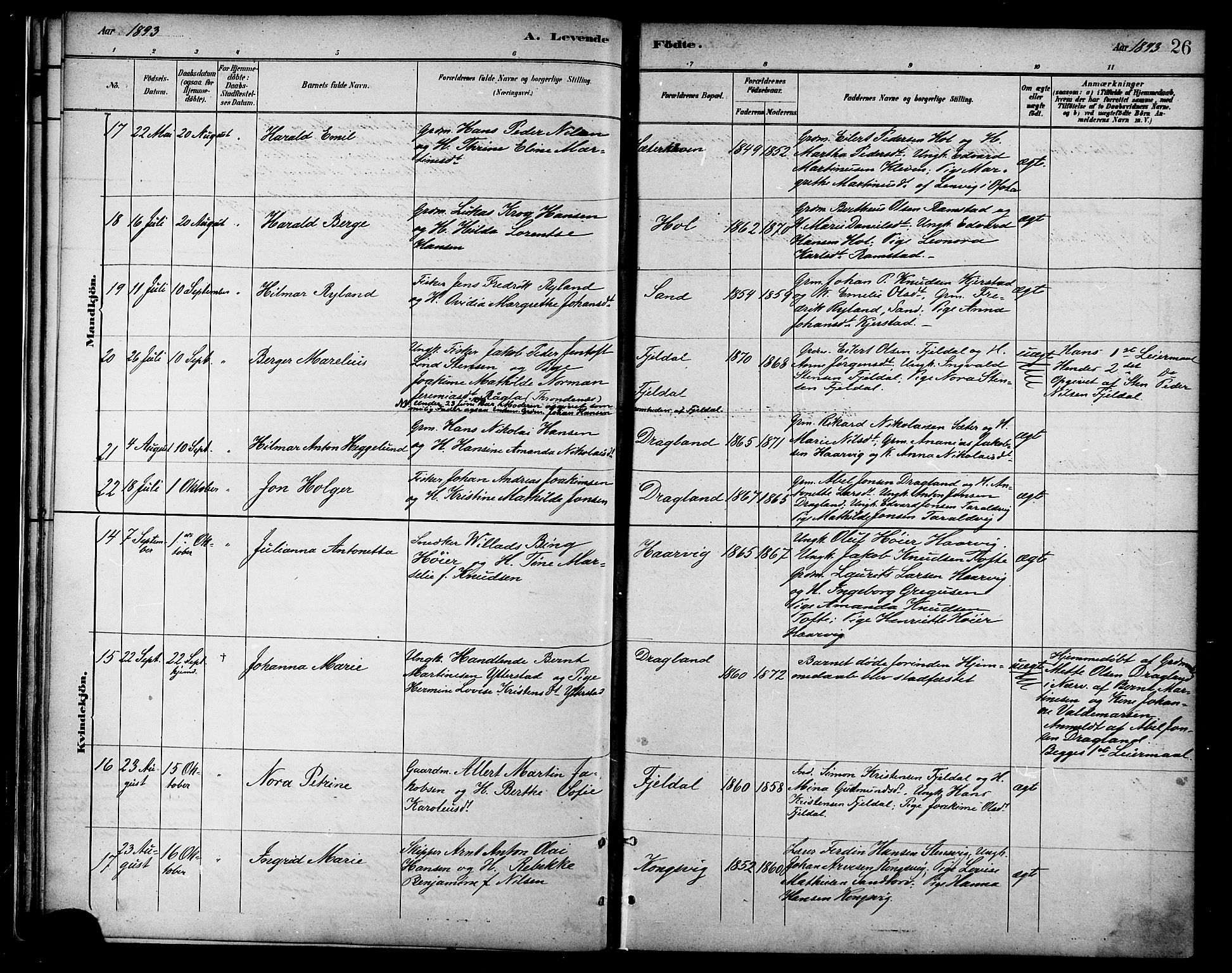 Ministerialprotokoller, klokkerbøker og fødselsregistre - Nordland, AV/SAT-A-1459/865/L0924: Parish register (official) no. 865A02, 1885-1896, p. 26
