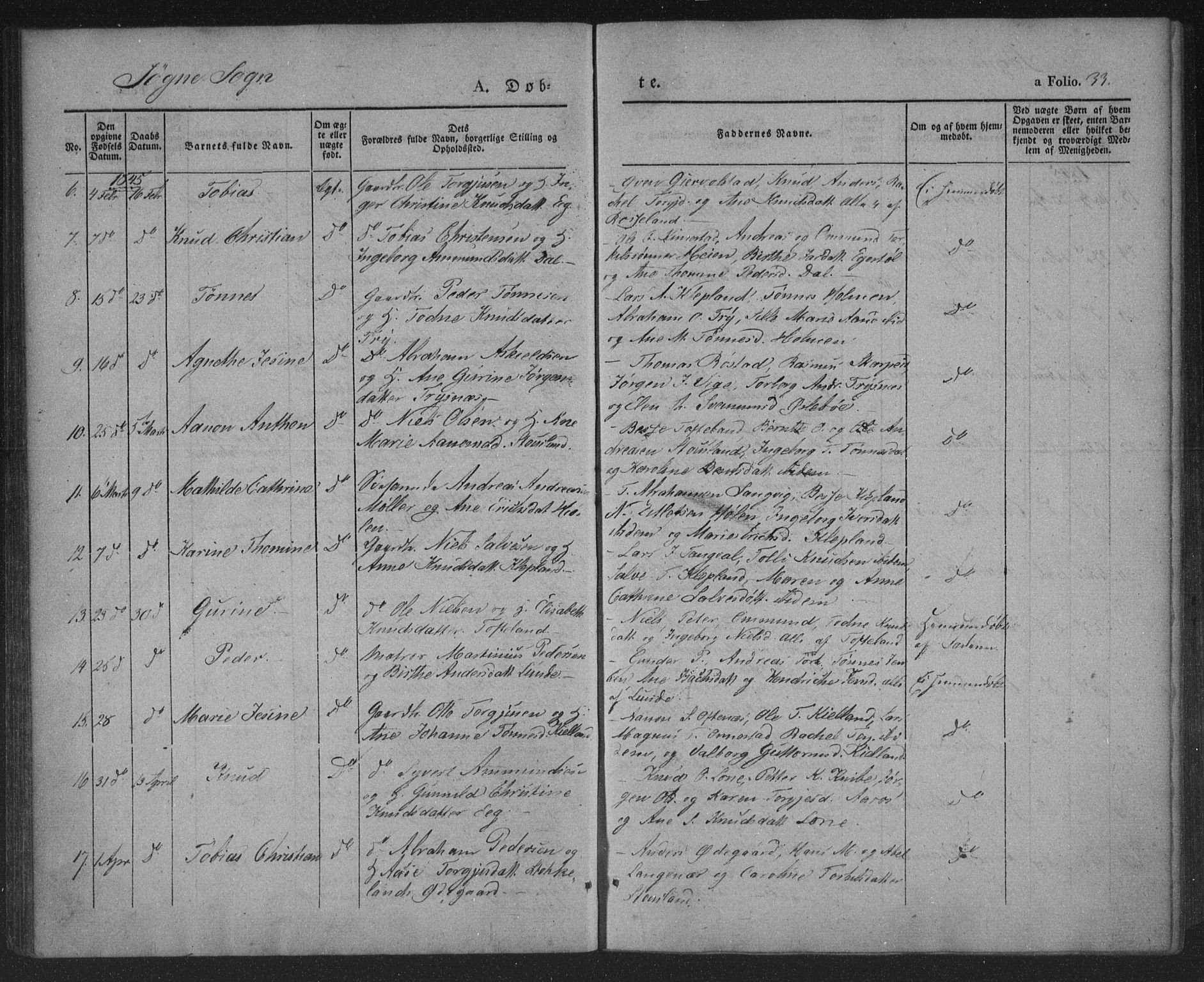 Søgne sokneprestkontor, AV/SAK-1111-0037/F/Fa/Fab/L0009: Parish register (official) no. A 9, 1838-1853, p. 33