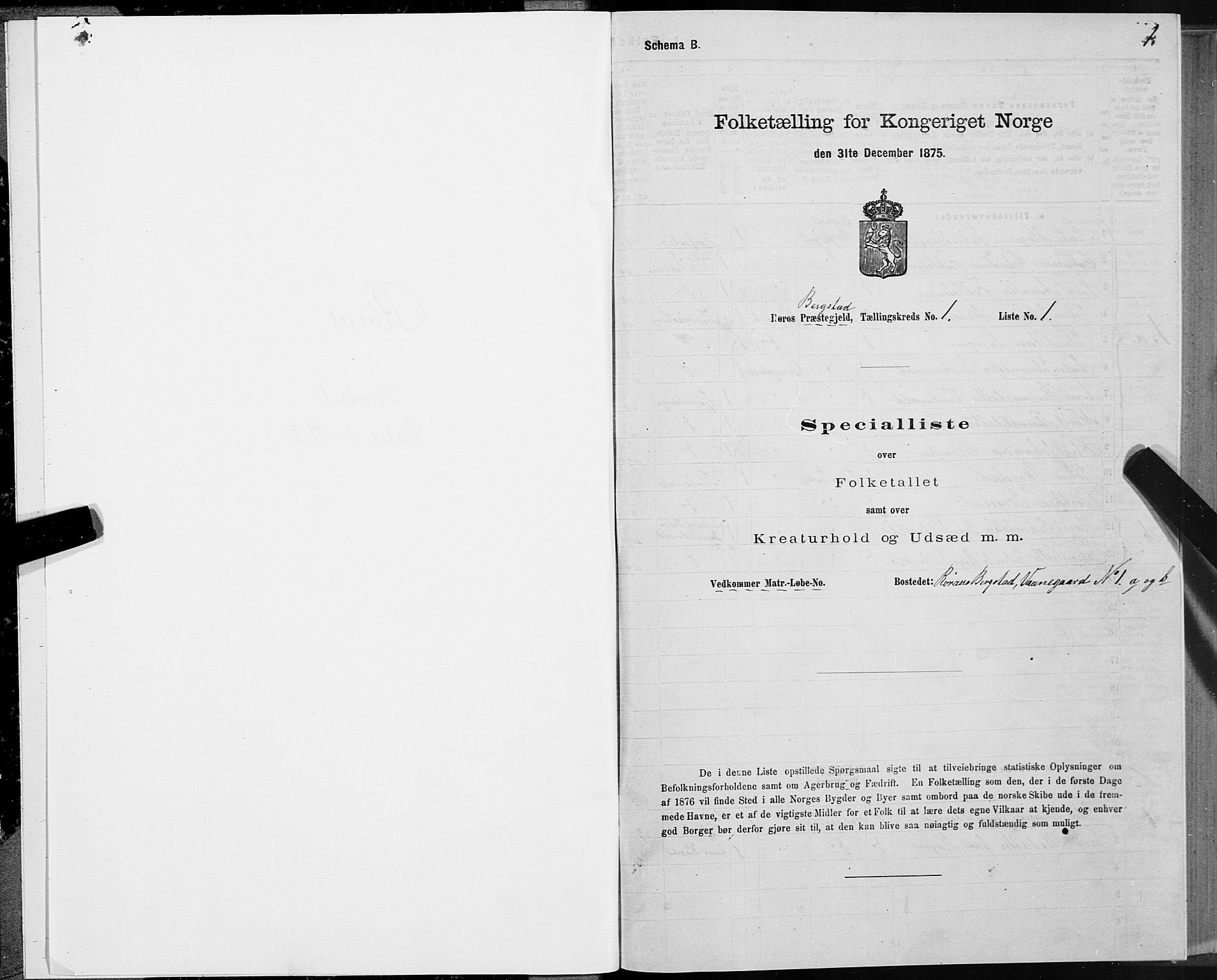 SAT, 1875 census for 1640P Røros, 1875, p. 1001