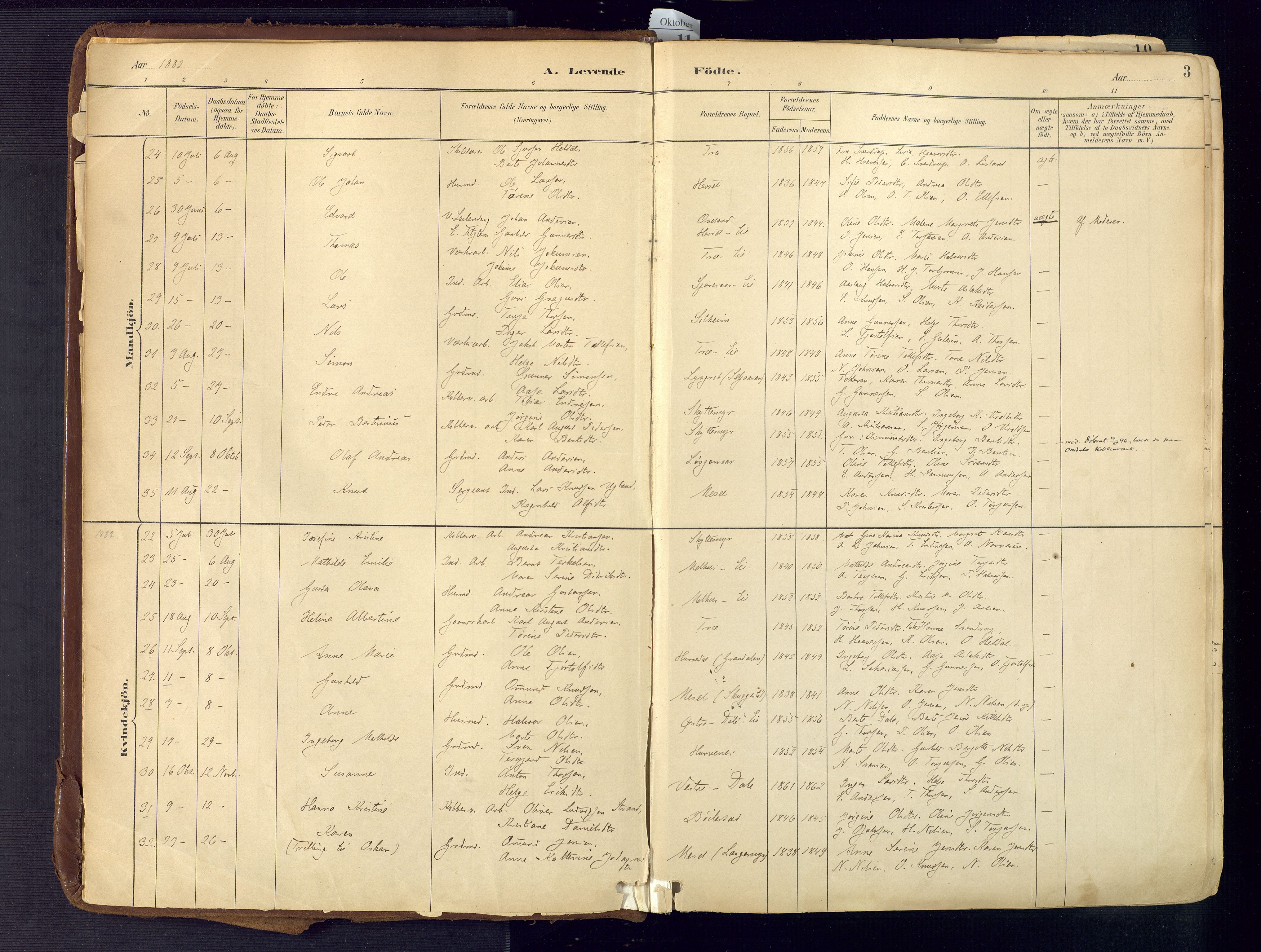 Froland sokneprestkontor, AV/SAK-1111-0013/F/Fa/L0005: Parish register (official) no. A 5, 1882-1921, p. 3