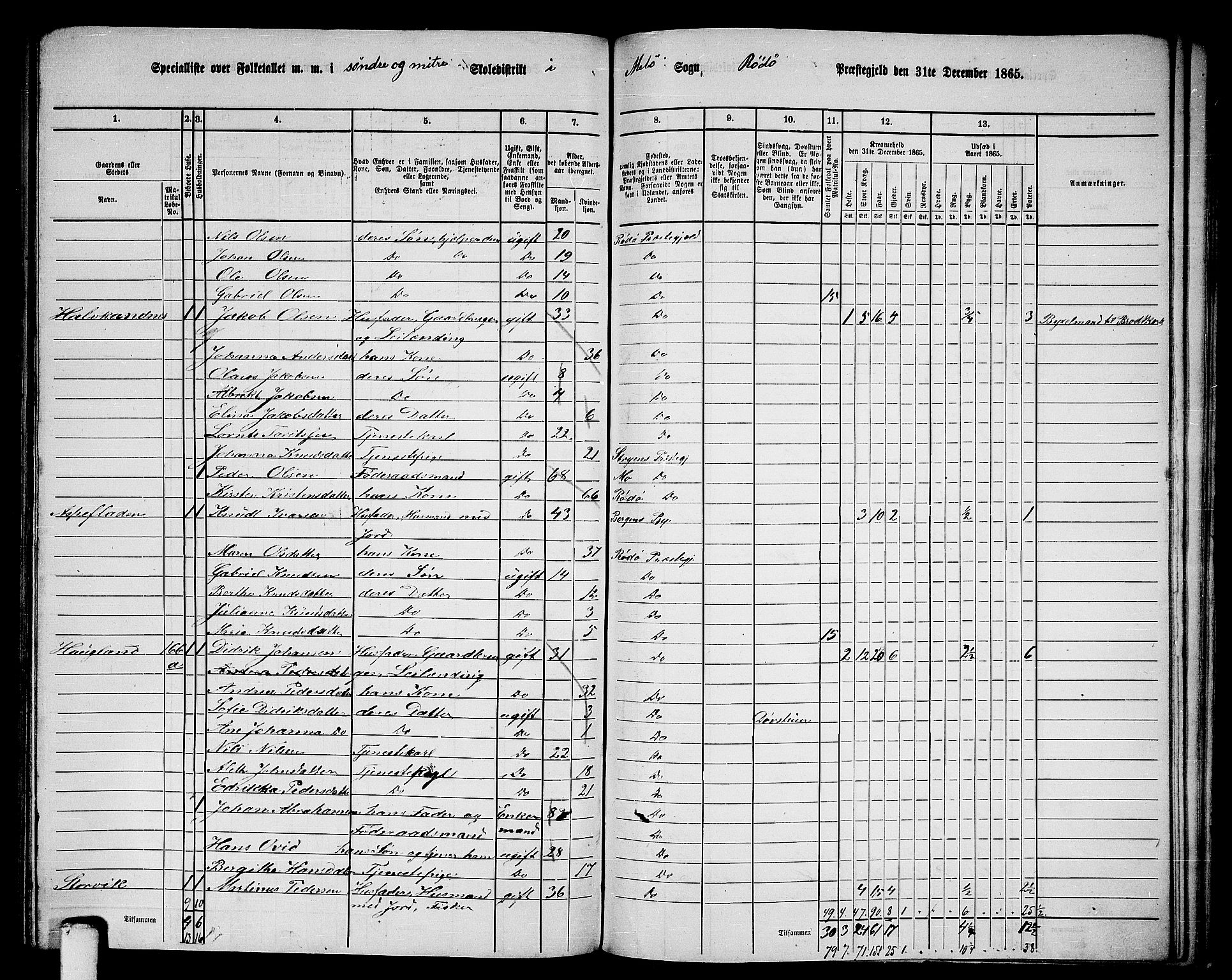 RA, 1865 census for Rødøy, 1865, p. 109