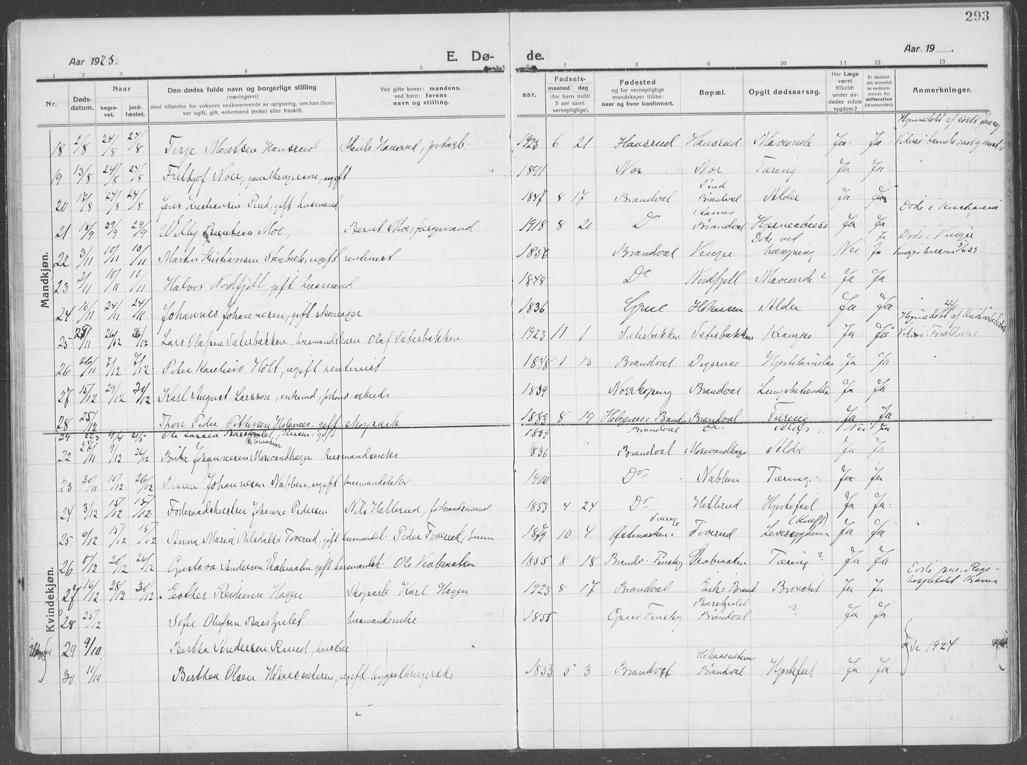 Brandval prestekontor, AV/SAH-PREST-034/H/Ha/Haa/L0004: Parish register (official) no. 4, 1910-1924, p. 293