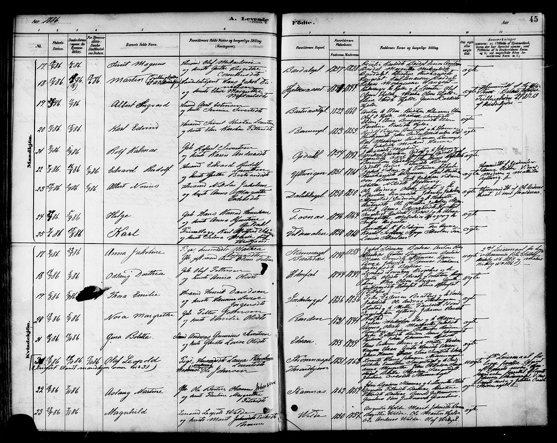 Ministerialprotokoller, klokkerbøker og fødselsregistre - Nord-Trøndelag, SAT/A-1458/741/L0395: Parish register (official) no. 741A09, 1878-1888, p. 45