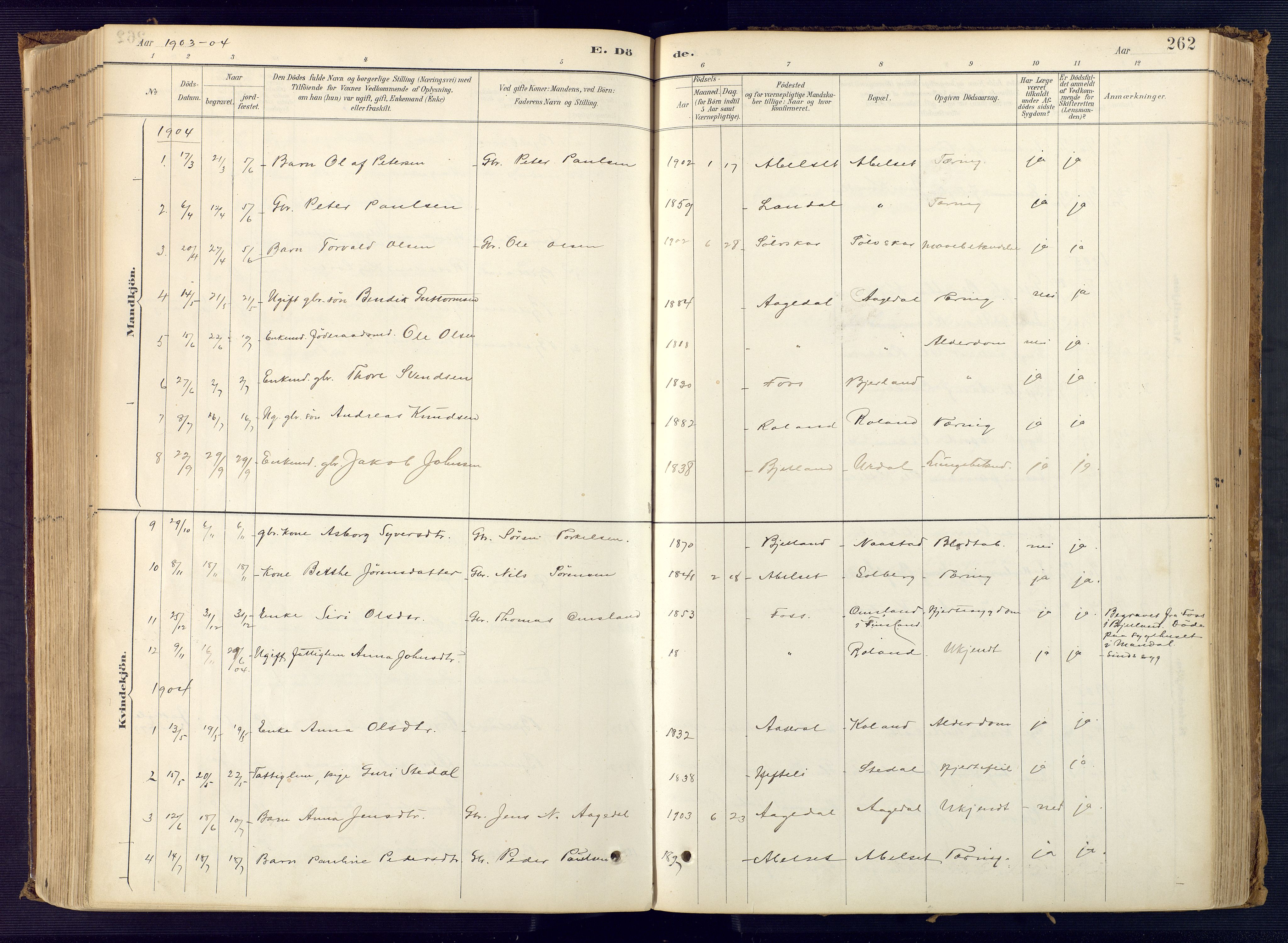 Bjelland sokneprestkontor, SAK/1111-0005/F/Fa/Faa/L0004: Parish register (official) no. A 4, 1887-1923, p. 262