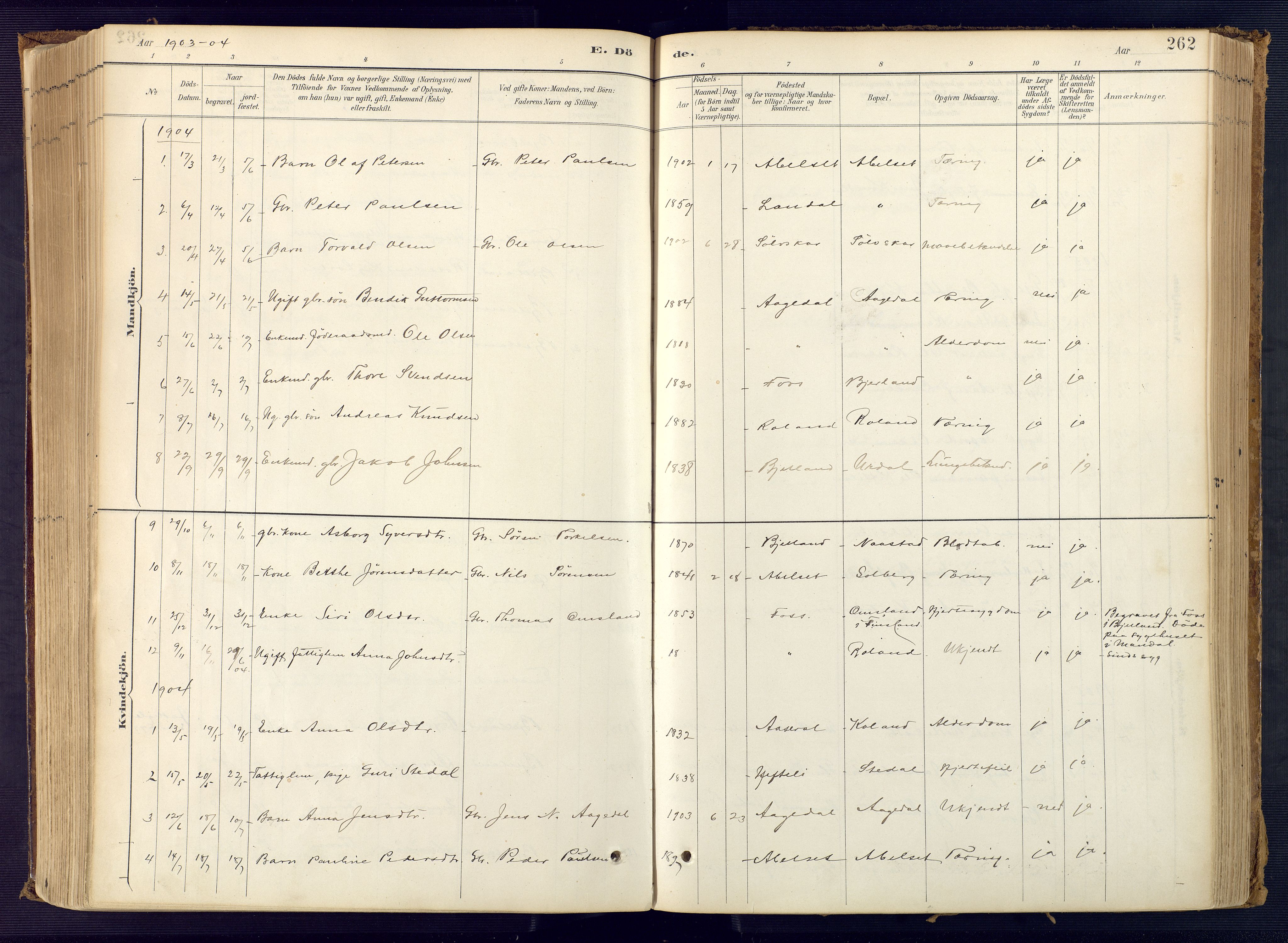 Bjelland sokneprestkontor, AV/SAK-1111-0005/F/Fa/Faa/L0004: Parish register (official) no. A 4, 1887-1923, p. 262