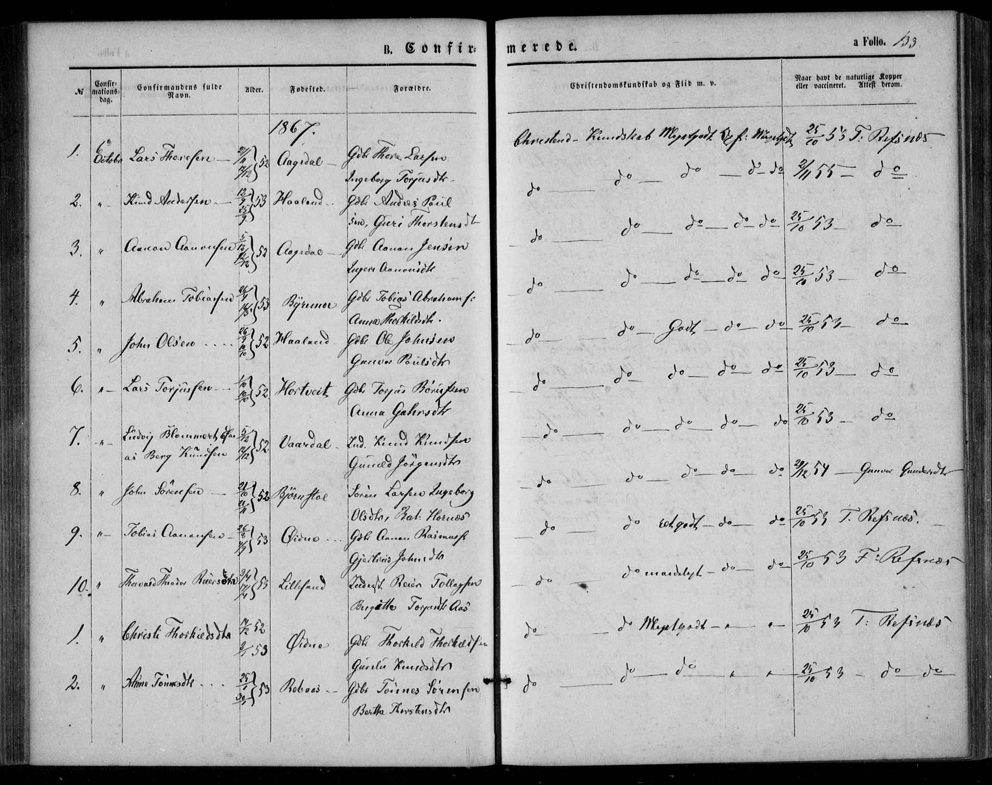 Bjelland sokneprestkontor, SAK/1111-0005/F/Fa/Fac/L0002: Parish register (official) no. A 2, 1866-1887, p. 133