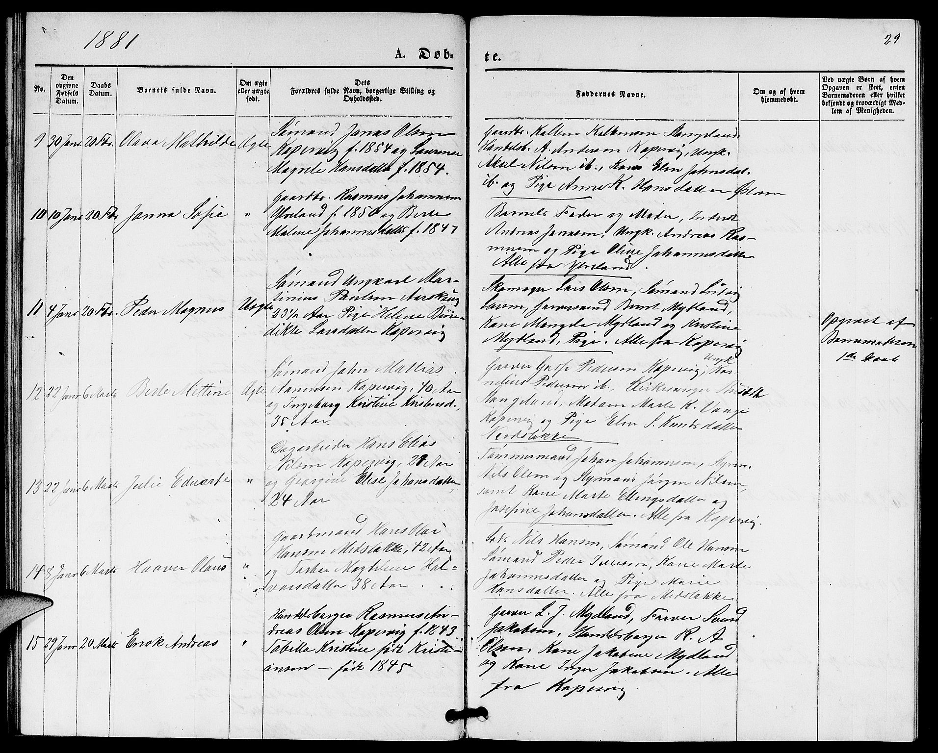 Kopervik sokneprestkontor, SAST/A-101850/H/Ha/Hab/L0001: Parish register (copy) no. B 1, 1877-1891, p. 29