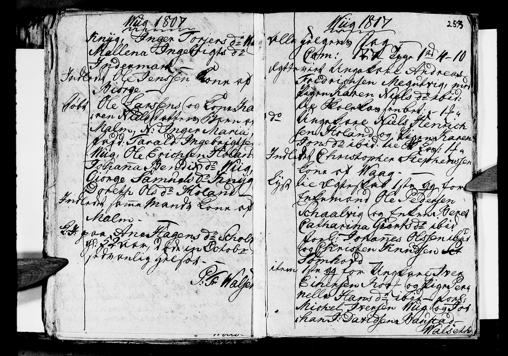 Ministerialprotokoller, klokkerbøker og fødselsregistre - Nordland, AV/SAT-A-1459/812/L0184: Parish register (copy) no. 812C02, 1793-1809, p. 253