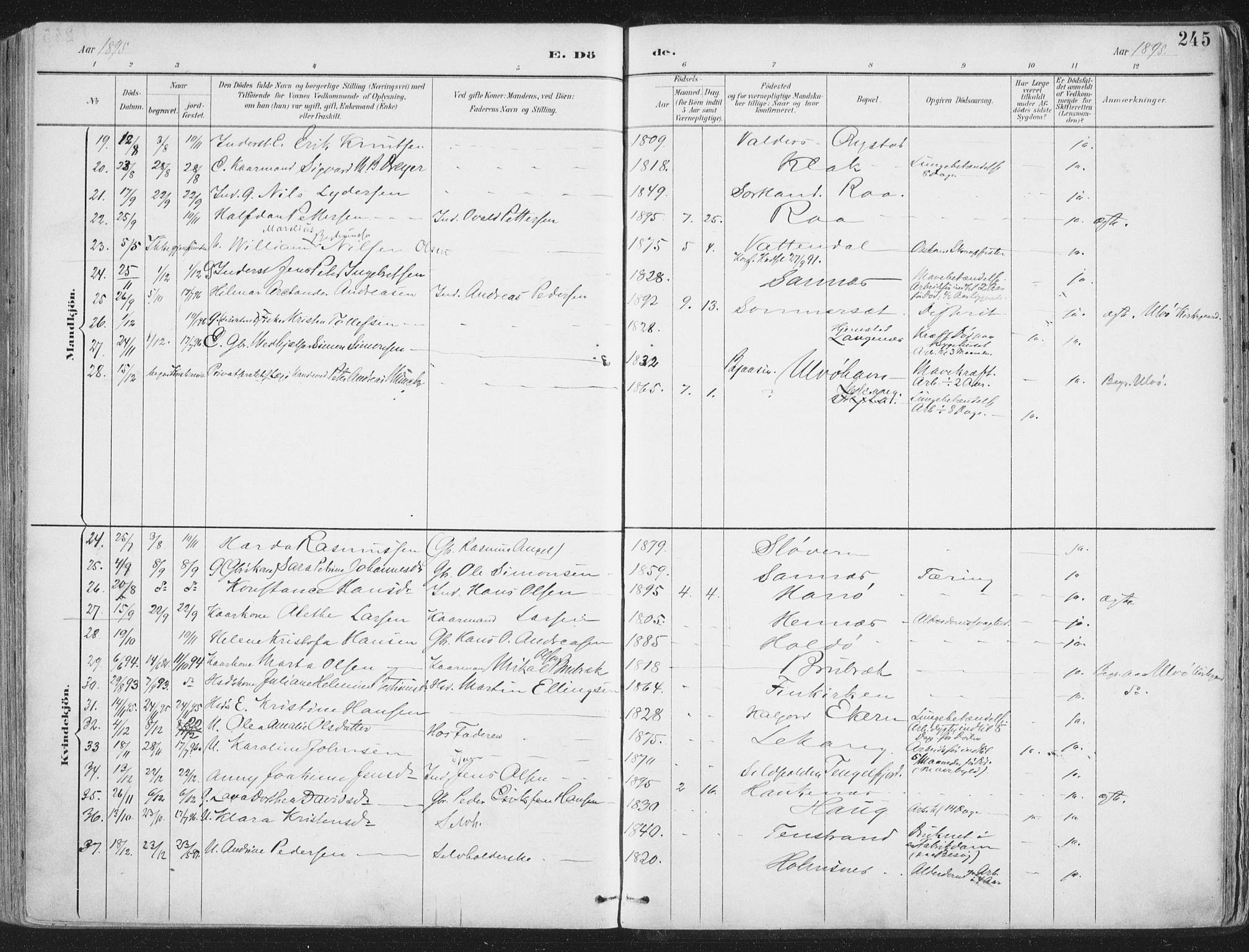 Ministerialprotokoller, klokkerbøker og fødselsregistre - Nordland, AV/SAT-A-1459/888/L1246: Parish register (official) no. 888A12, 1891-1903, p. 245