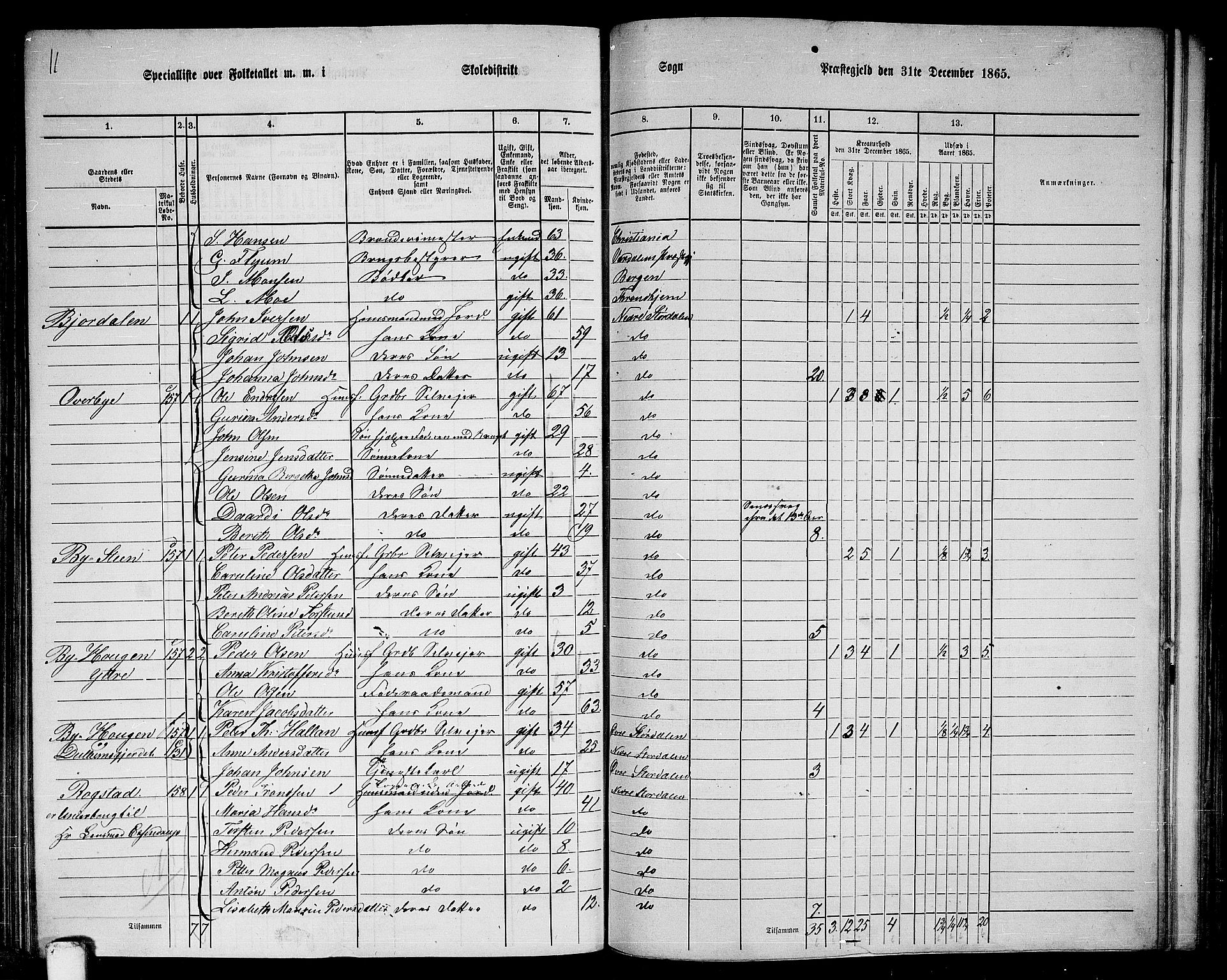 RA, 1865 census for Nedre Stjørdal, 1865, p. 199