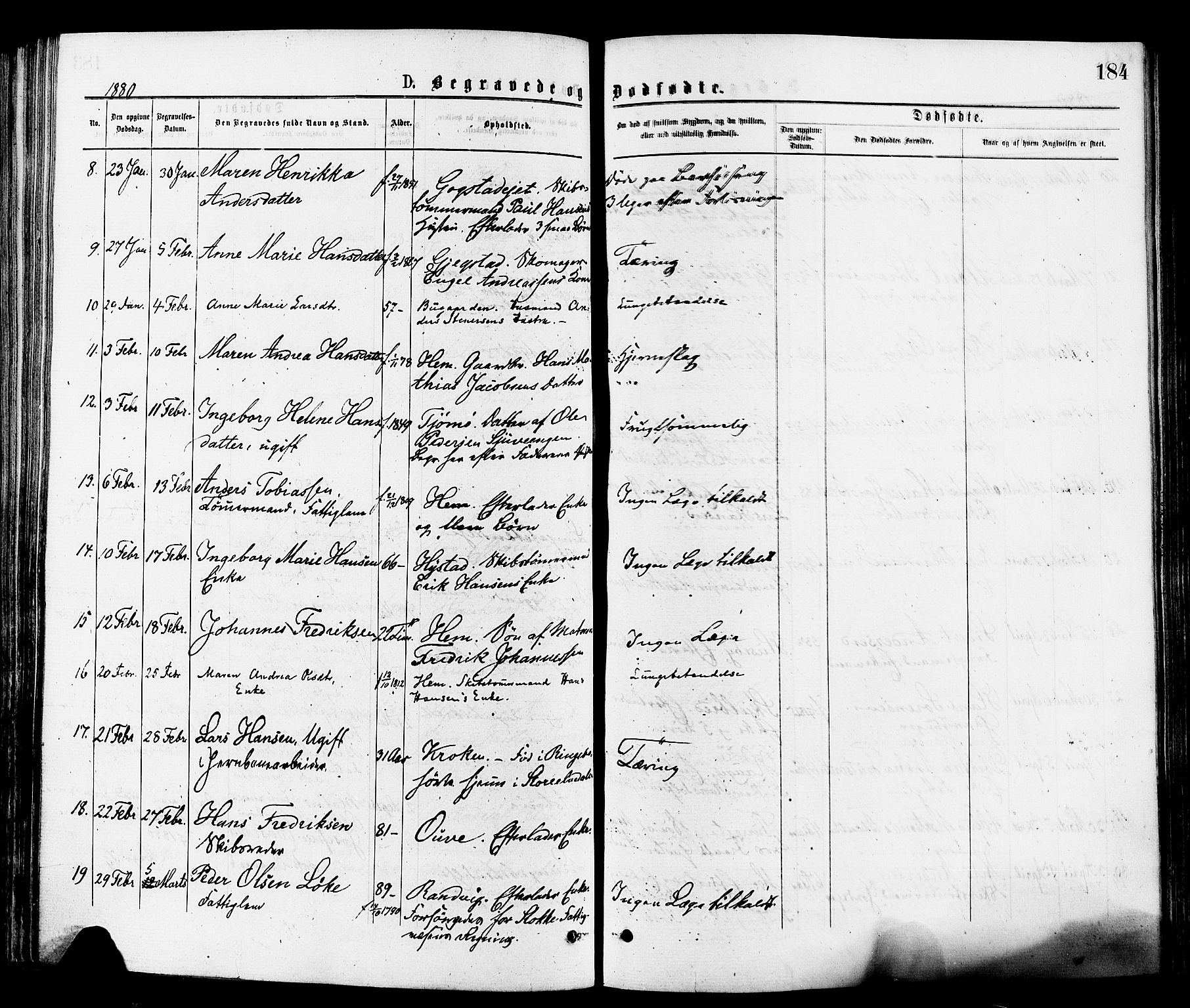 Sandar kirkebøker, SAKO/A-243/F/Fa/L0011: Parish register (official) no. 11, 1872-1882, p. 184