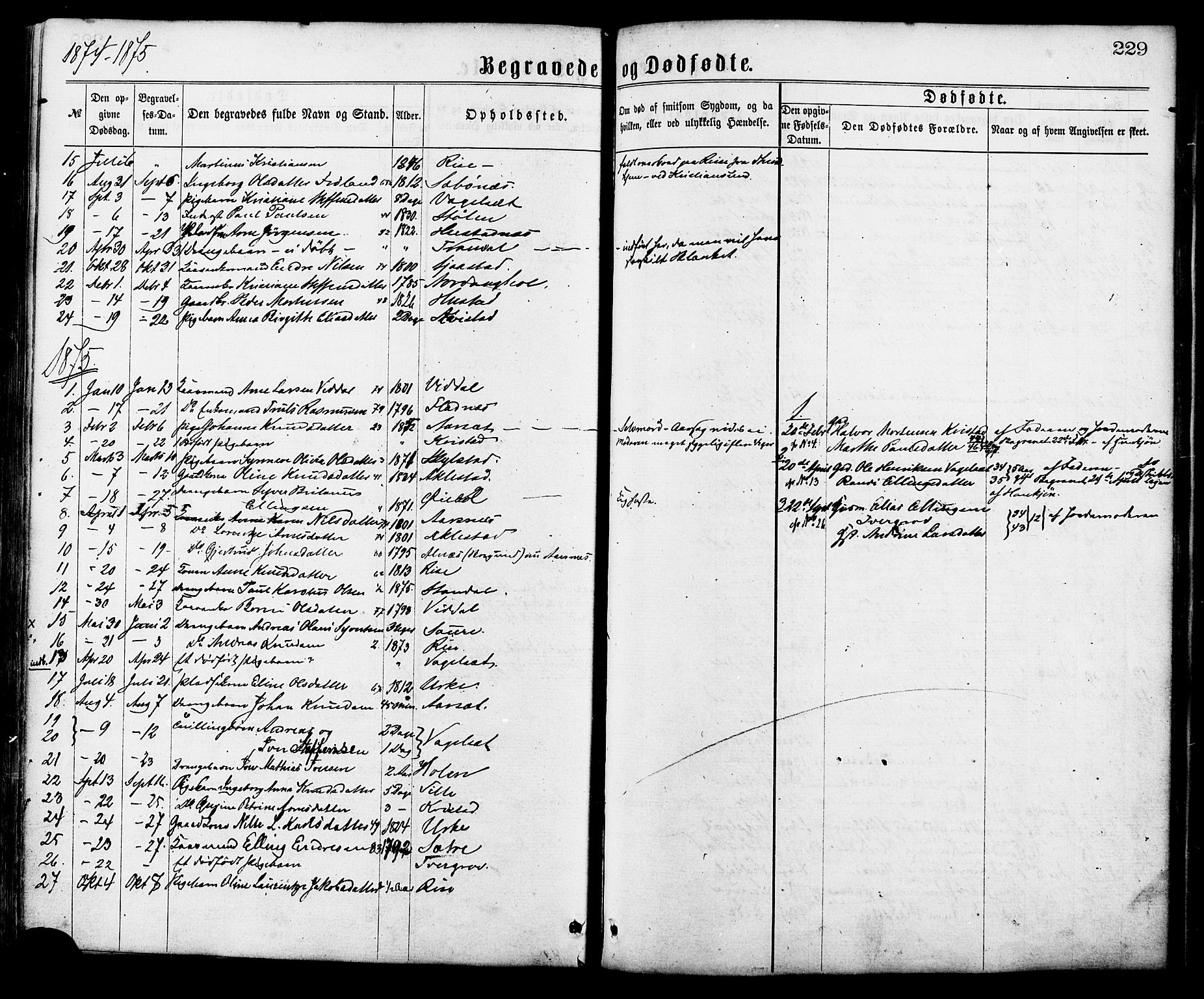 Ministerialprotokoller, klokkerbøker og fødselsregistre - Møre og Romsdal, AV/SAT-A-1454/515/L0210: Parish register (official) no. 515A06, 1868-1885, p. 229