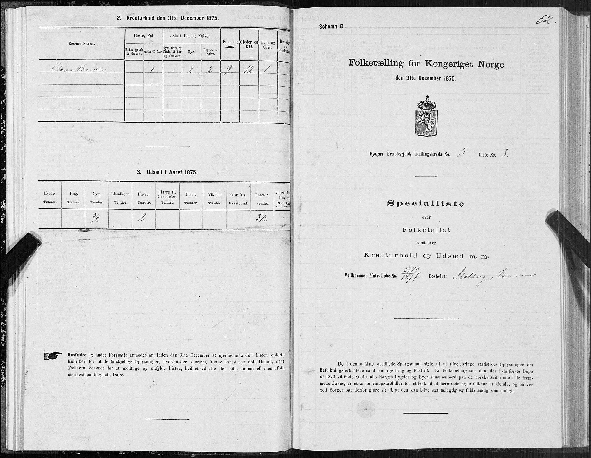 SAT, 1875 census for 1627P Bjugn, 1875, p. 3052