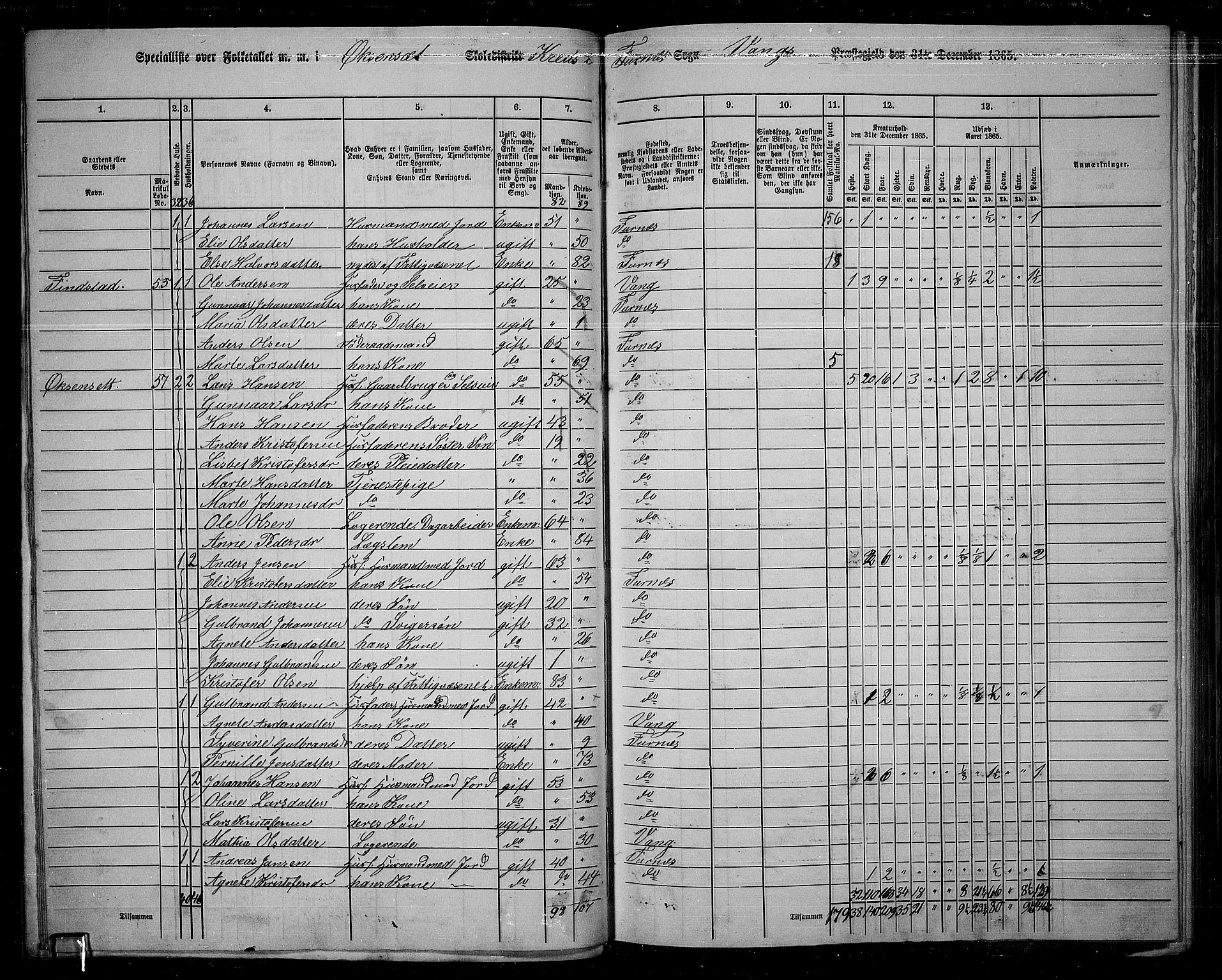 RA, 1865 census for Vang/Vang og Furnes, 1865, p. 53