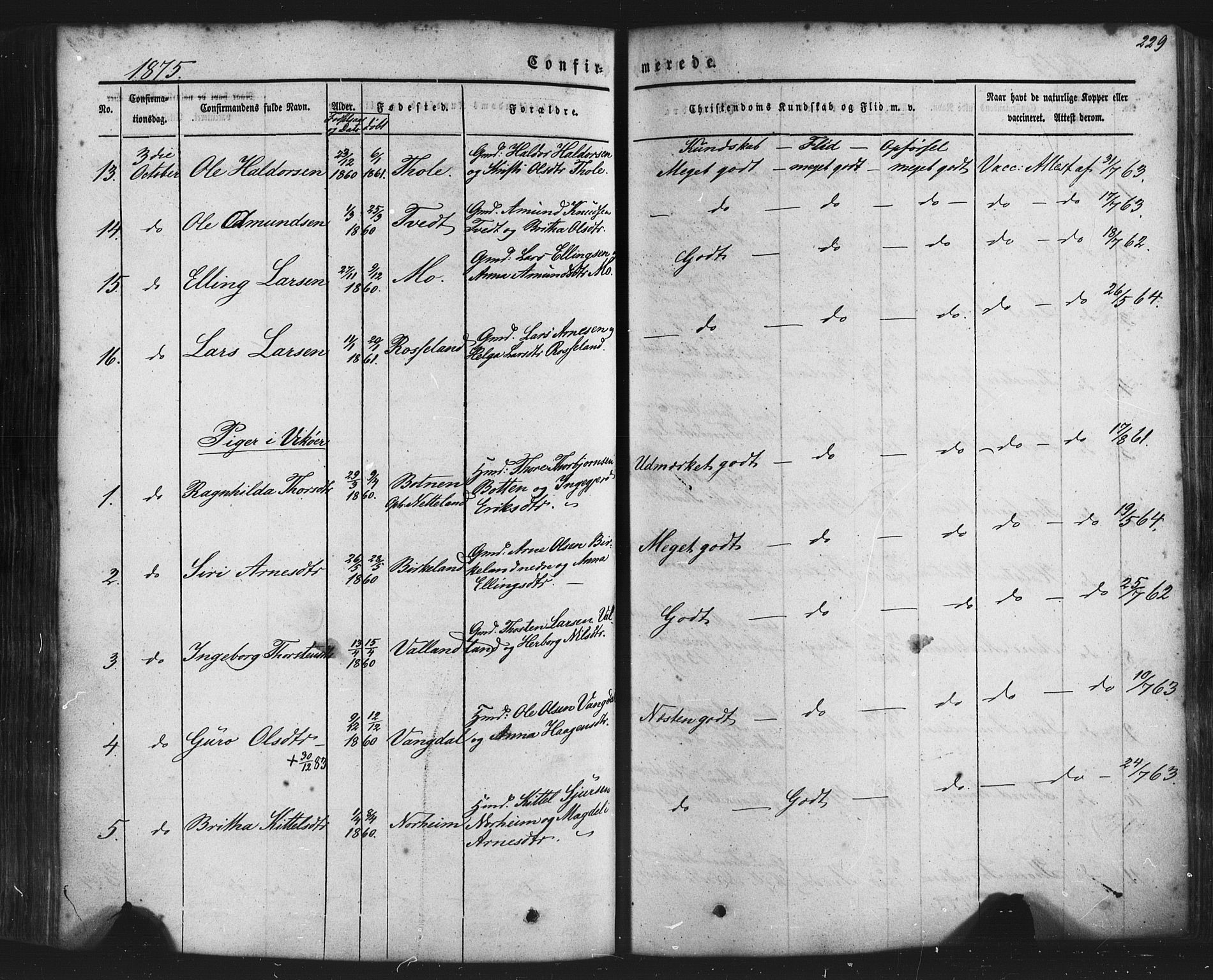 Kvam sokneprestembete, SAB/A-76201/H/Haa: Parish register (official) no. A 9, 1864-1879, p. 229