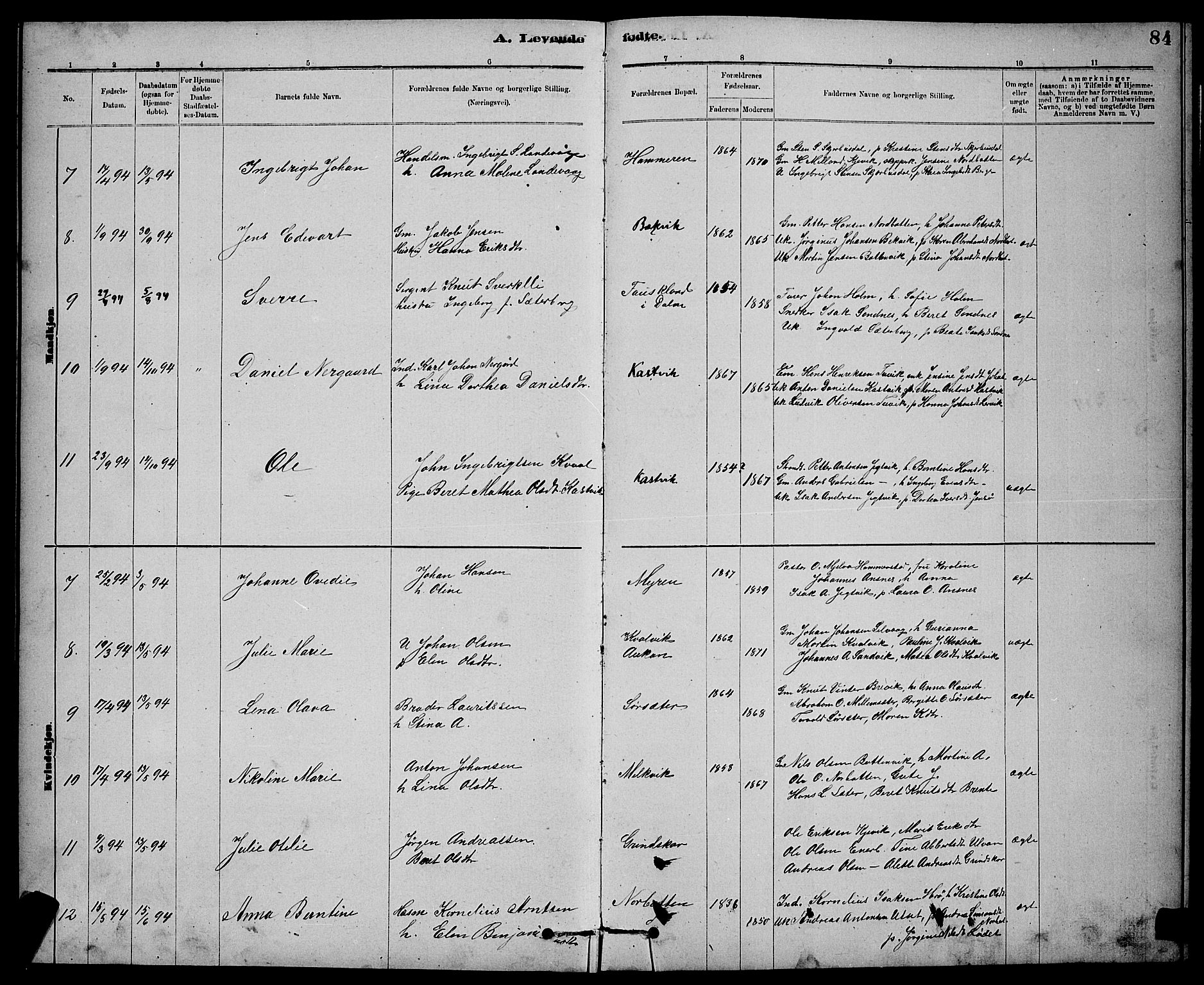 Ministerialprotokoller, klokkerbøker og fødselsregistre - Sør-Trøndelag, SAT/A-1456/637/L0562: Parish register (copy) no. 637C03, 1883-1898, p. 84