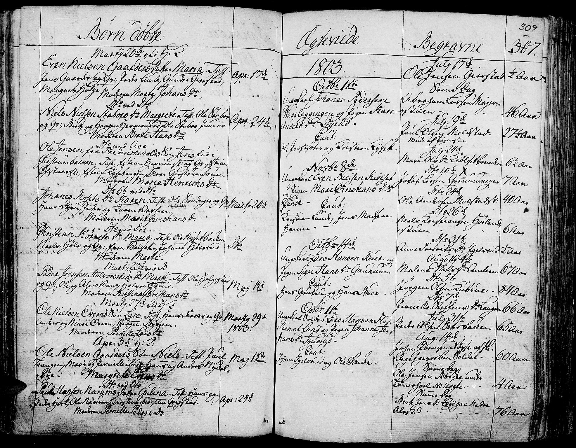 Toten prestekontor, SAH/PREST-102/H/Ha/Haa/L0007: Parish register (official) no. 7, 1794-1809, p. 309