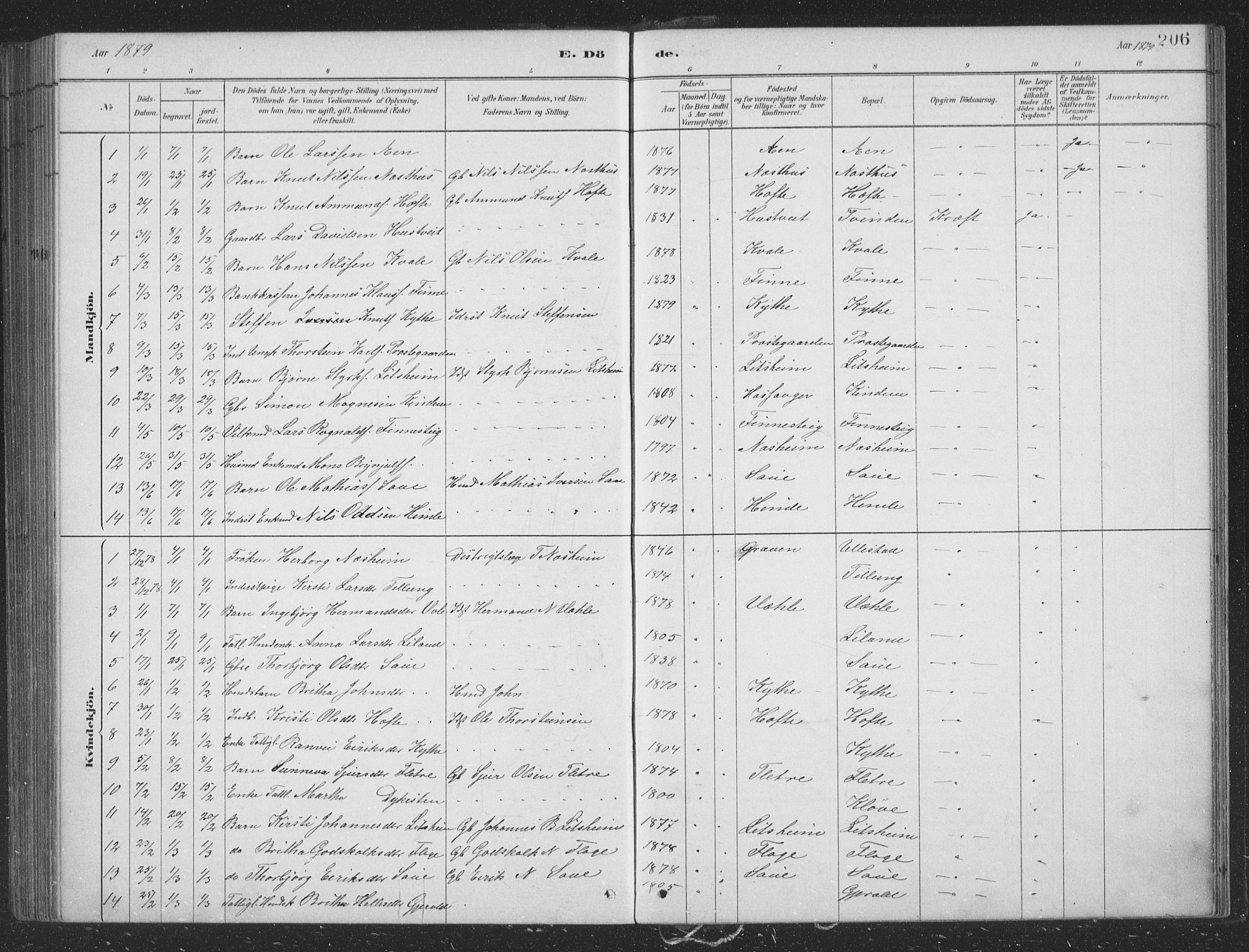 Voss sokneprestembete, SAB/A-79001/H/Hab: Parish register (copy) no. B 3, 1879-1894, p. 206