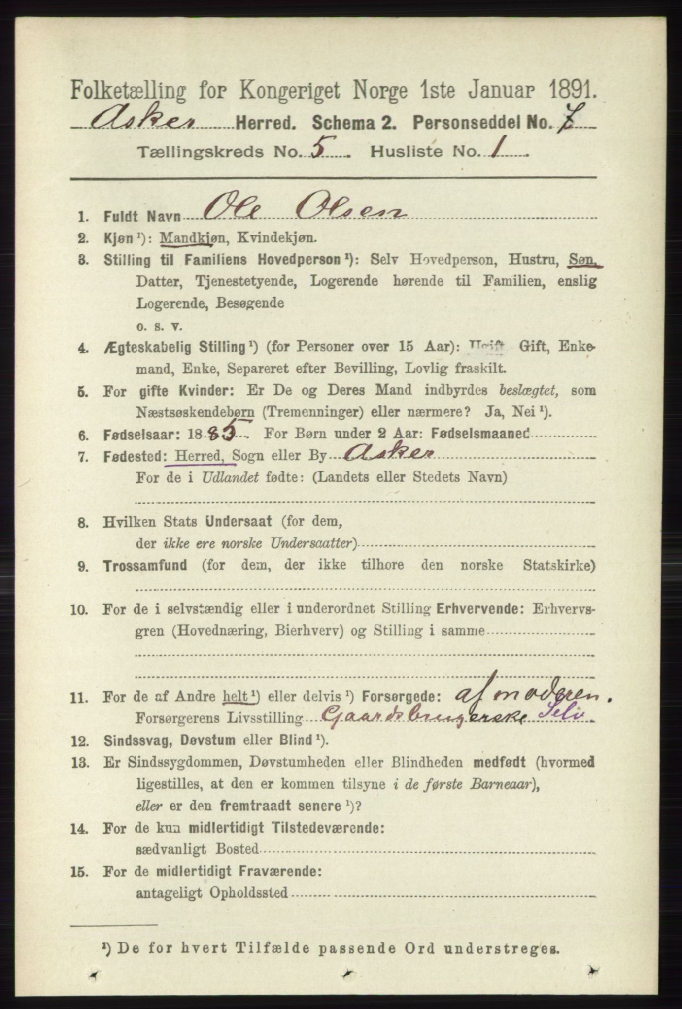 RA, 1891 census for 0220 Asker, 1891, p. 3675