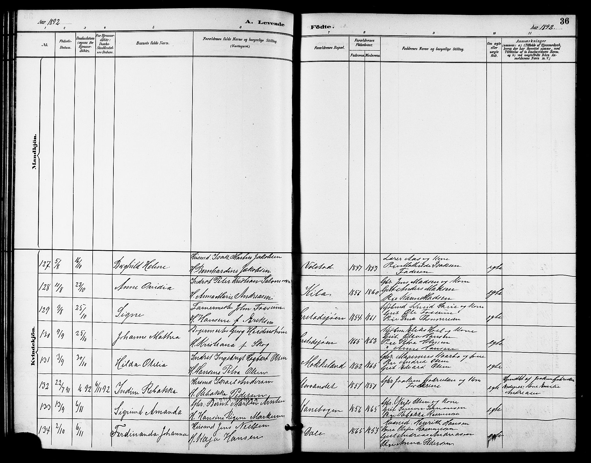 Trondenes sokneprestkontor, SATØ/S-1319/H/Hb/L0011klokker: Parish register (copy) no. 11, 1891-1906, p. 36