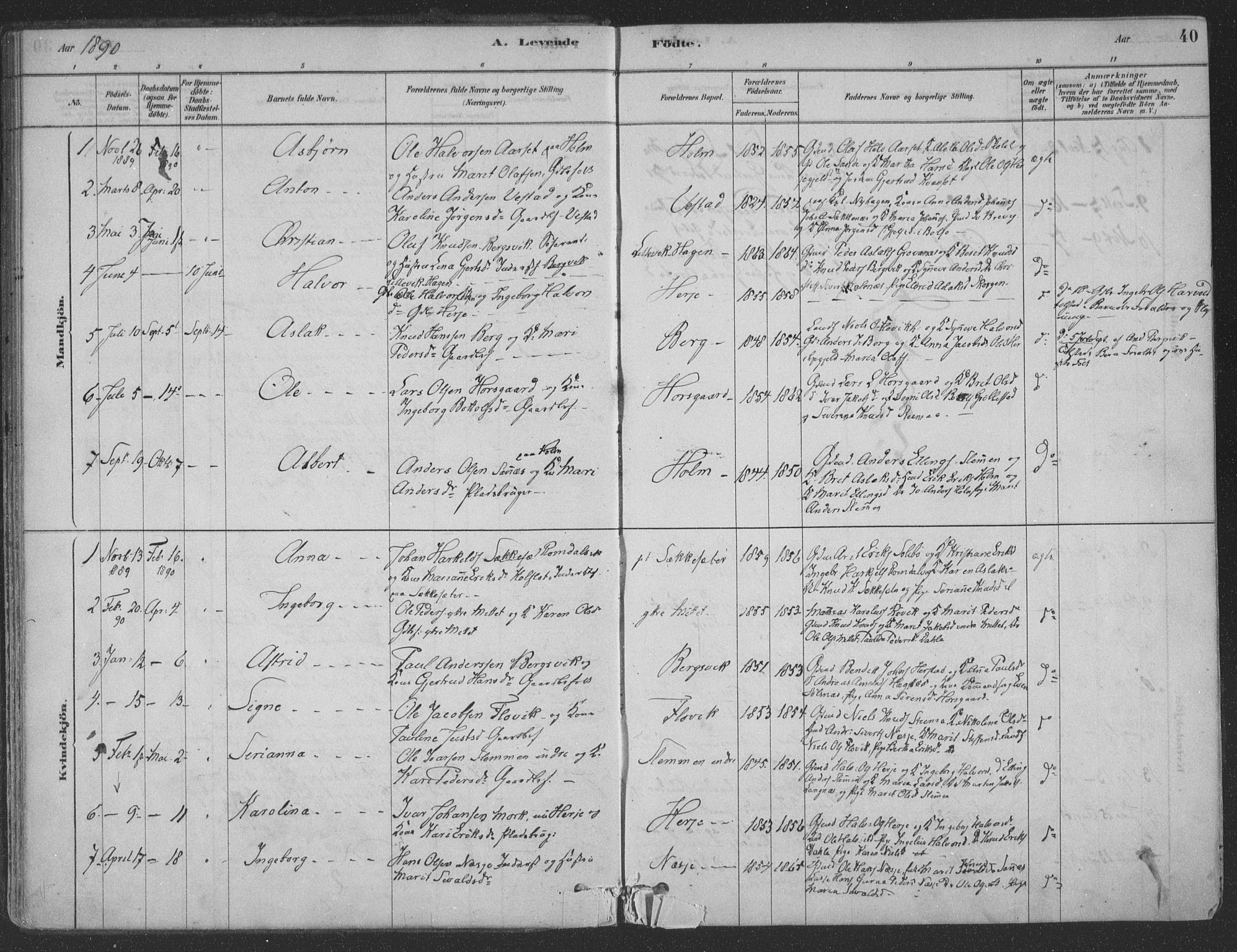 Ministerialprotokoller, klokkerbøker og fødselsregistre - Møre og Romsdal, AV/SAT-A-1454/547/L0604: Parish register (official) no. 547A06, 1878-1906, p. 40
