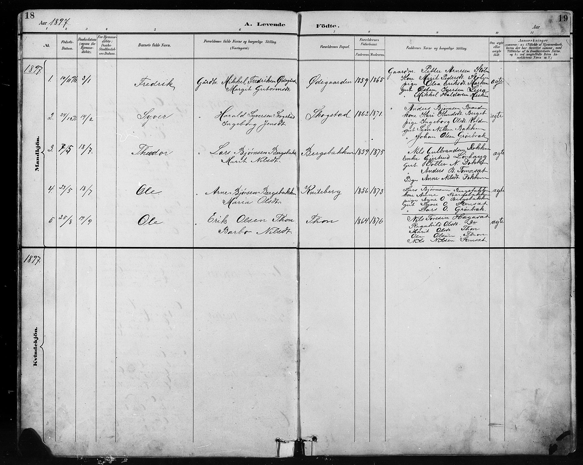 Etnedal prestekontor, SAH/PREST-130/H/Ha/Hab/Habb/L0001: Parish register (copy) no. II 1, 1894-1911, p. 18-19