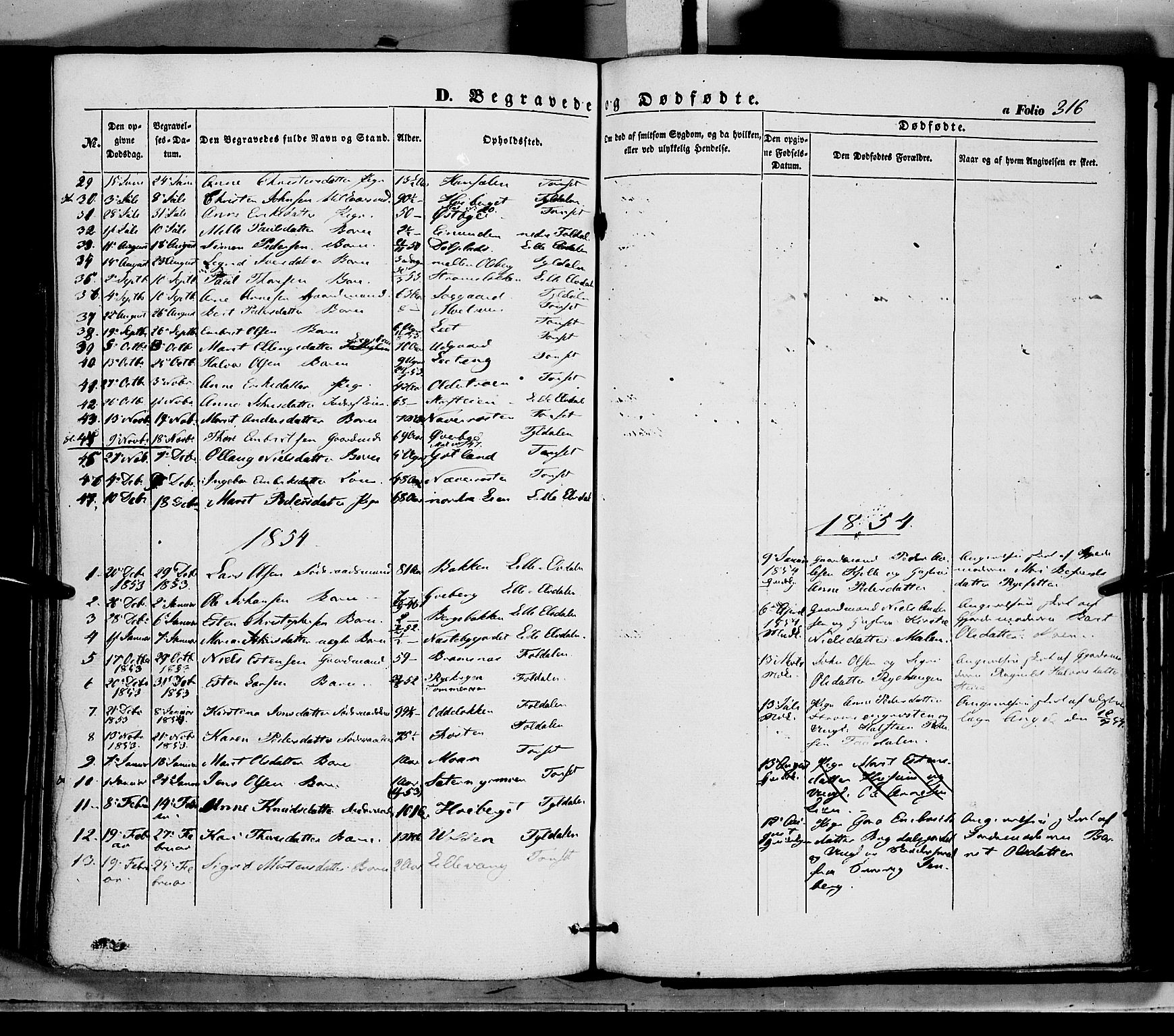 Tynset prestekontor, SAH/PREST-058/H/Ha/Haa/L0020: Parish register (official) no. 20, 1848-1862, p. 316