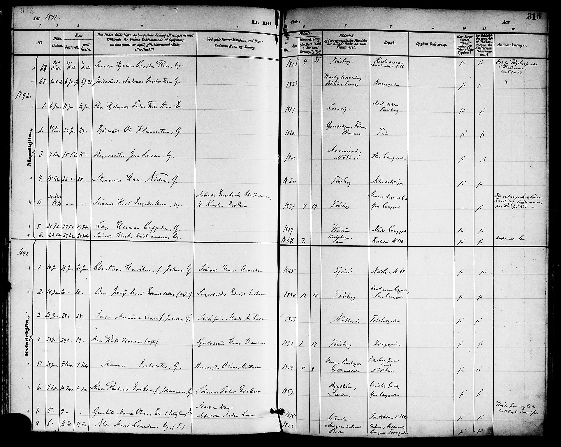 Tønsberg kirkebøker, SAKO/A-330/F/Fa/L0012: Parish register (official) no. I 12, 1891-1899, p. 316