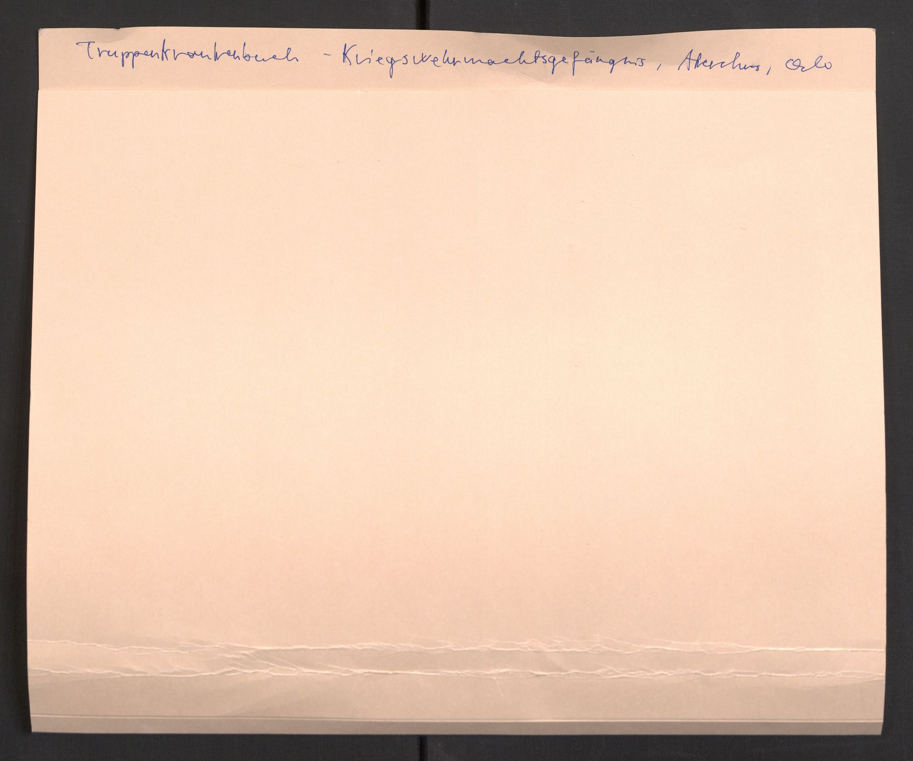 Befehlshaber der Sicherheitspolizei und des SD, RA/RAFA-5969/E/Eb/L0005: Materiale fra sykestua, 1944-1945