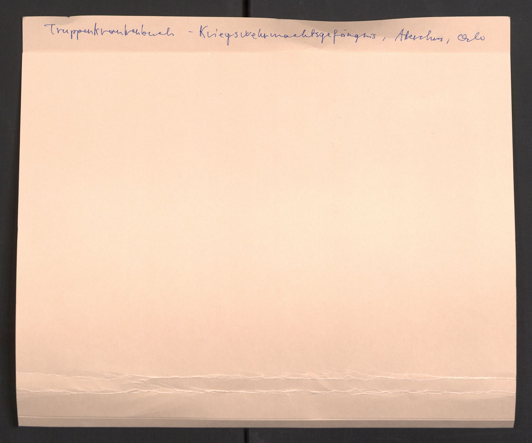 Befehlshaber der Sicherheitspolizei und des SD, AV/RA-RAFA-5969/E/Eb/L0005: Materiale fra sykestua, 1944-1945