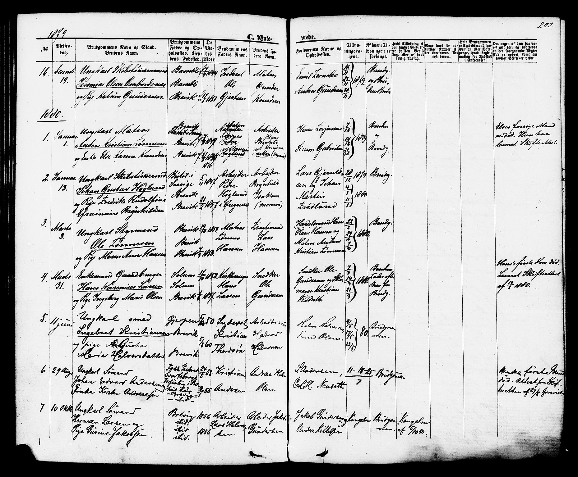 Brevik kirkebøker, AV/SAKO-A-255/F/Fa/L0006: Parish register (official) no. 6, 1866-1881, p. 202