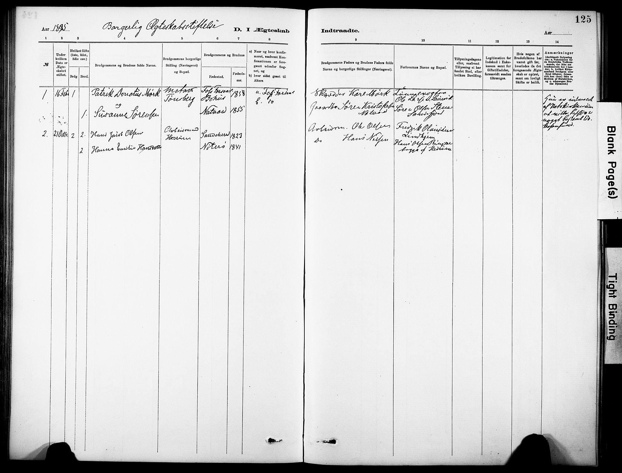 Sandar kirkebøker, SAKO/A-243/F/Fa/L0013: Parish register (official) no. 13, 1883-1895, p. 125