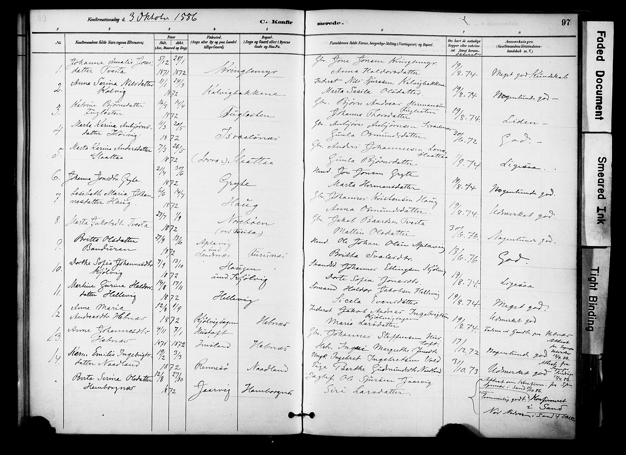 Jelsa sokneprestkontor, AV/SAST-A-101842/01/IV: Parish register (official) no. A 10, 1884-1906, p. 97